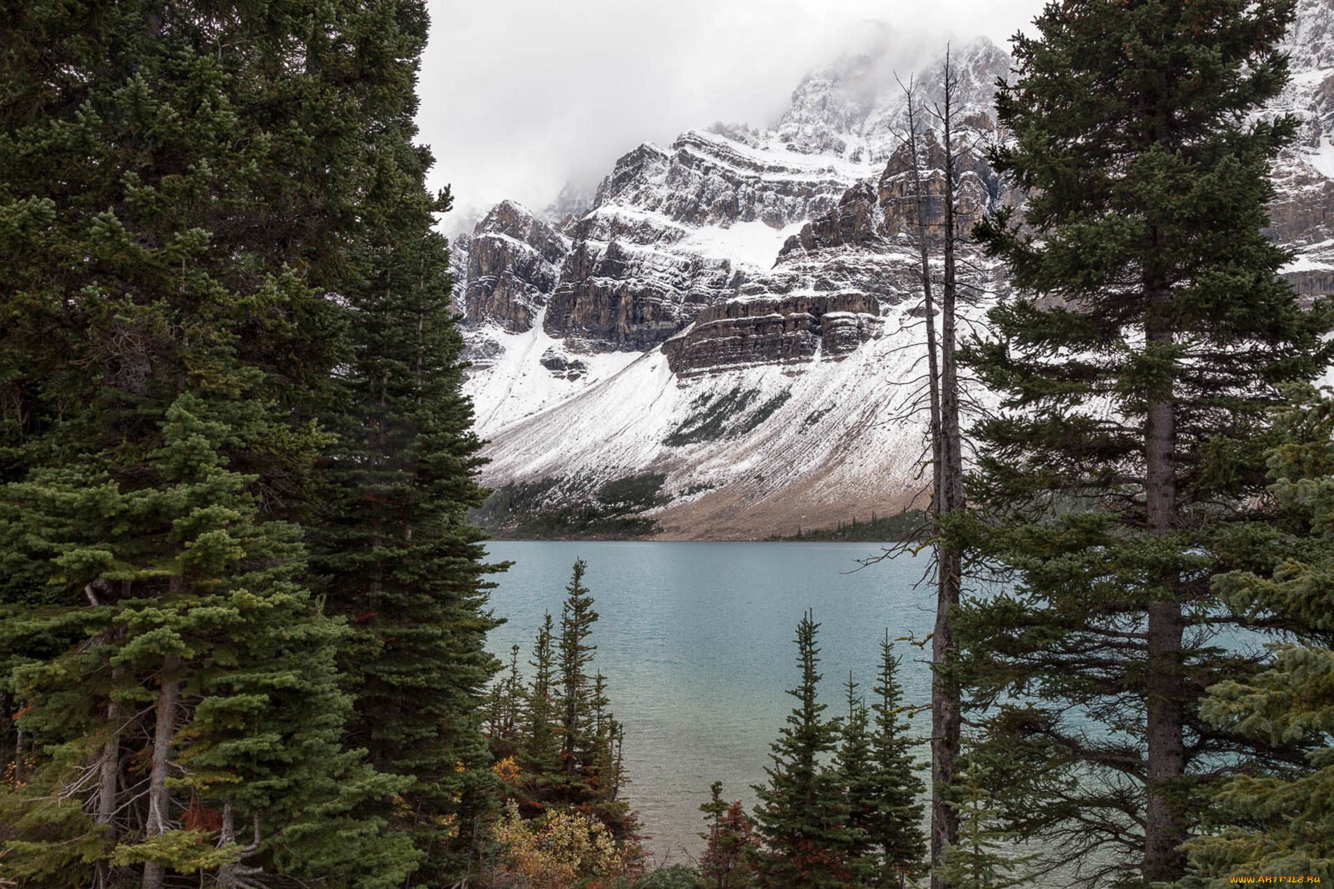 природа, реки, озера, простор