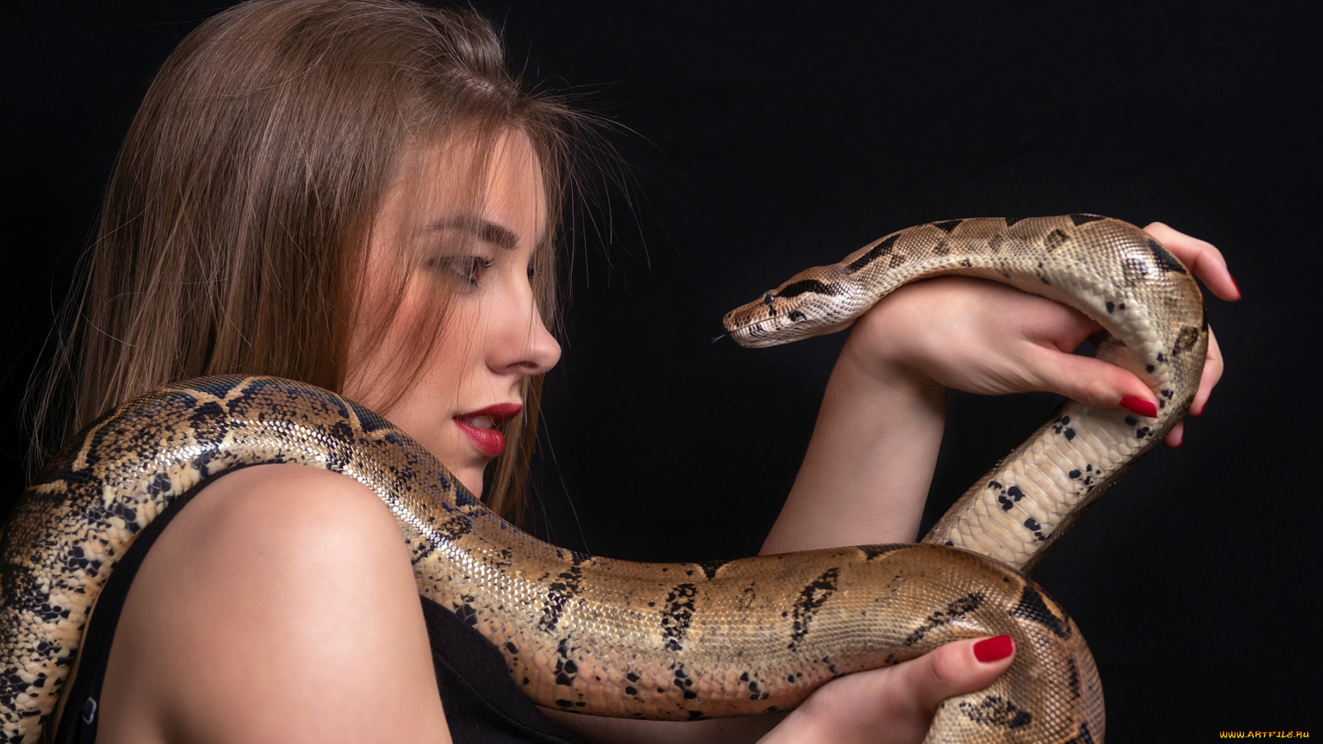 девушки, -, креатив, , косплей, девушка, модель, креатив, косплей, cosplay, змея, блондинка, причёска, взгляд