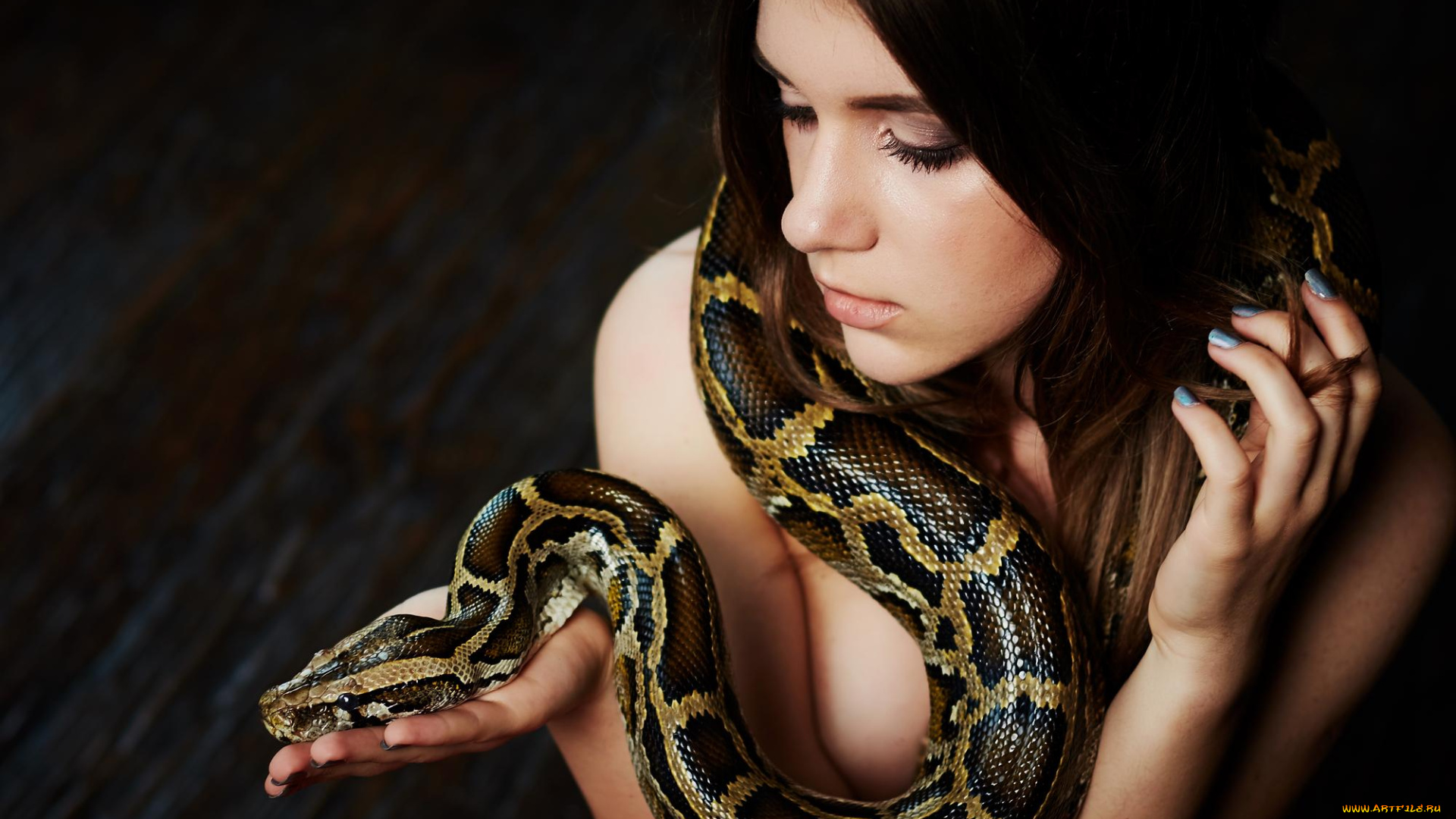 девушки, -, креатив, , косплей, девушка, модель, креатив, косплей, cosplay, змея, брюнетка, причёска, взгляд