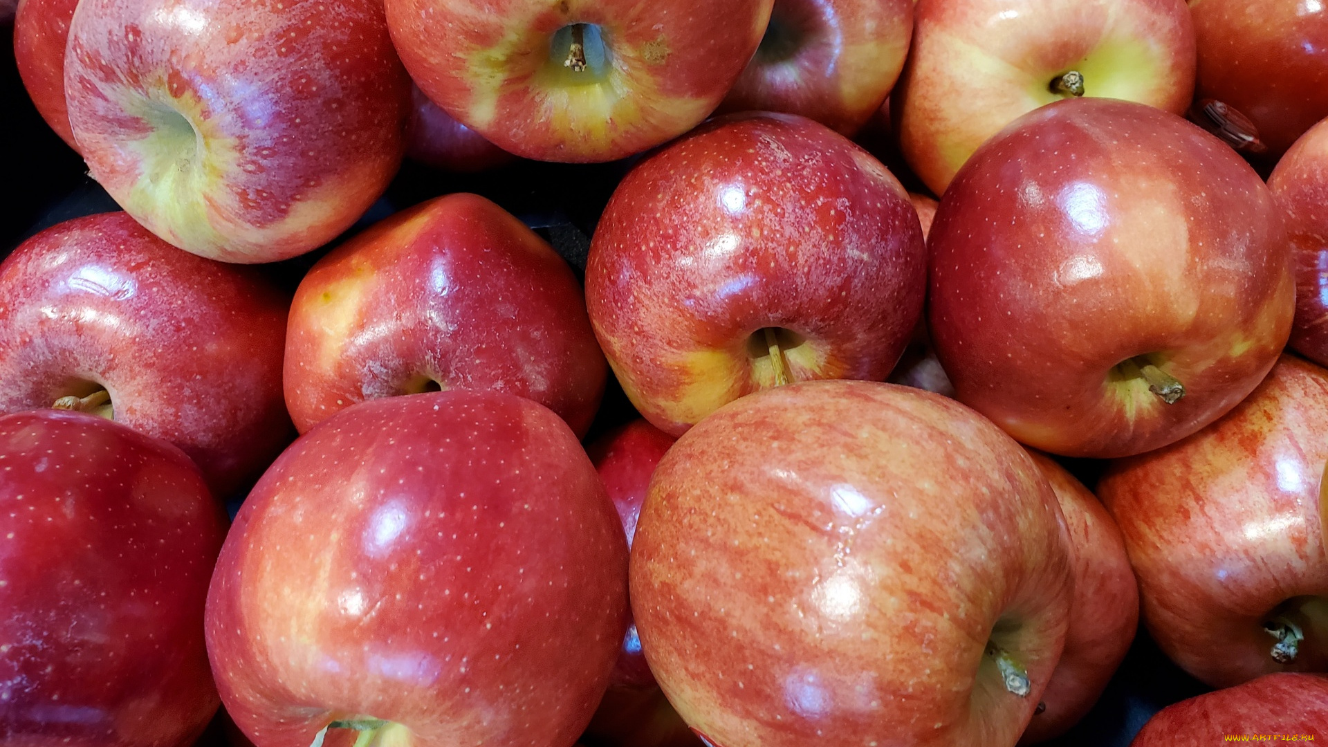 еда, яблоки, краснобокие, много