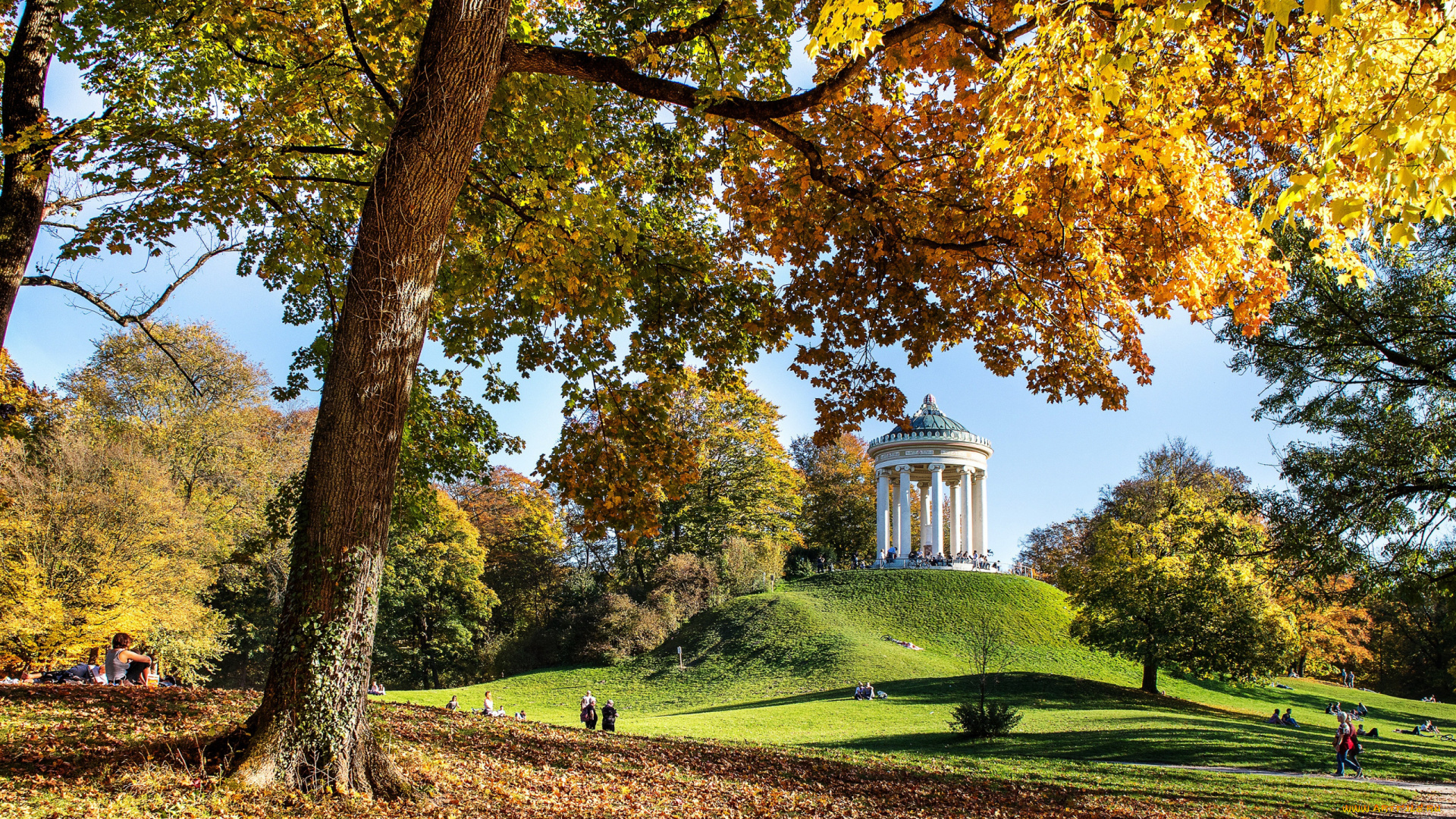 осень, природа, парк, беседка, люди