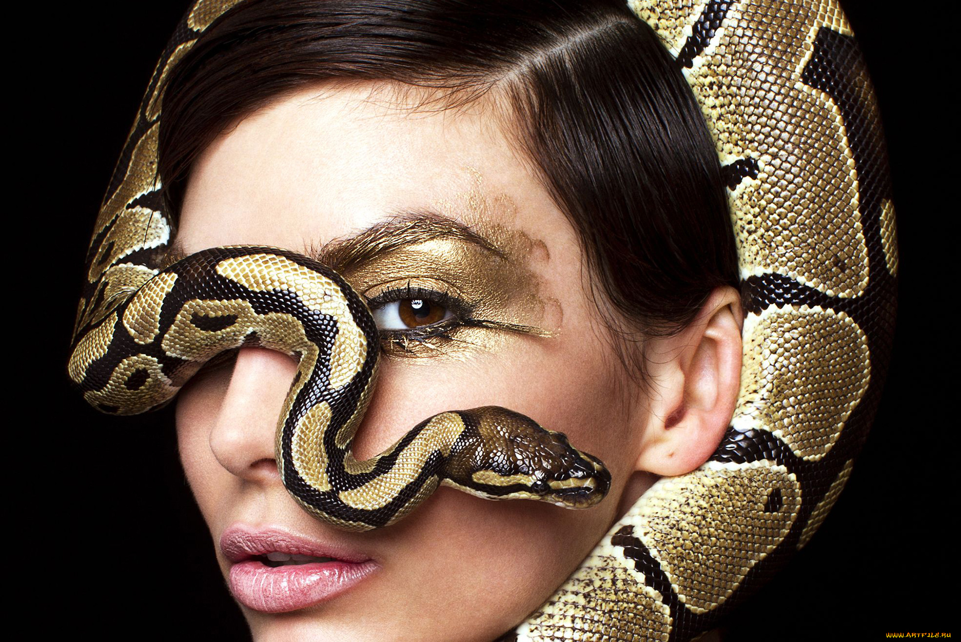 девушки, -, креатив, , косплей, девушка, портрет, лицо, макияж, модель, креатив, косплей, cosplay, змея, брюнетка, причёска, взгляд