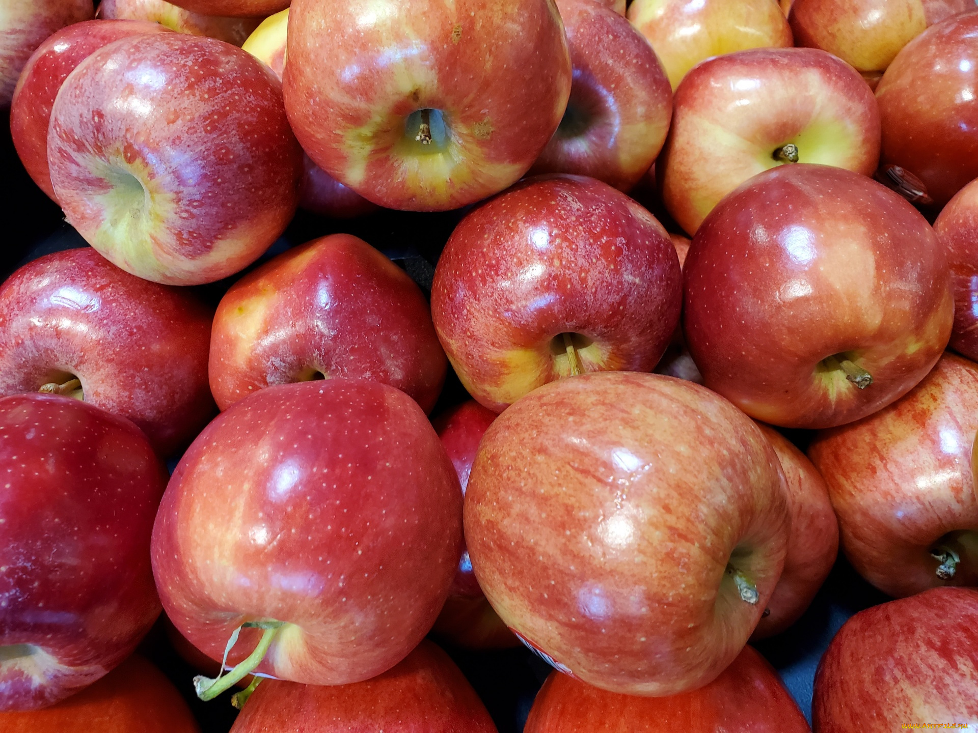 еда, яблоки, краснобокие, много