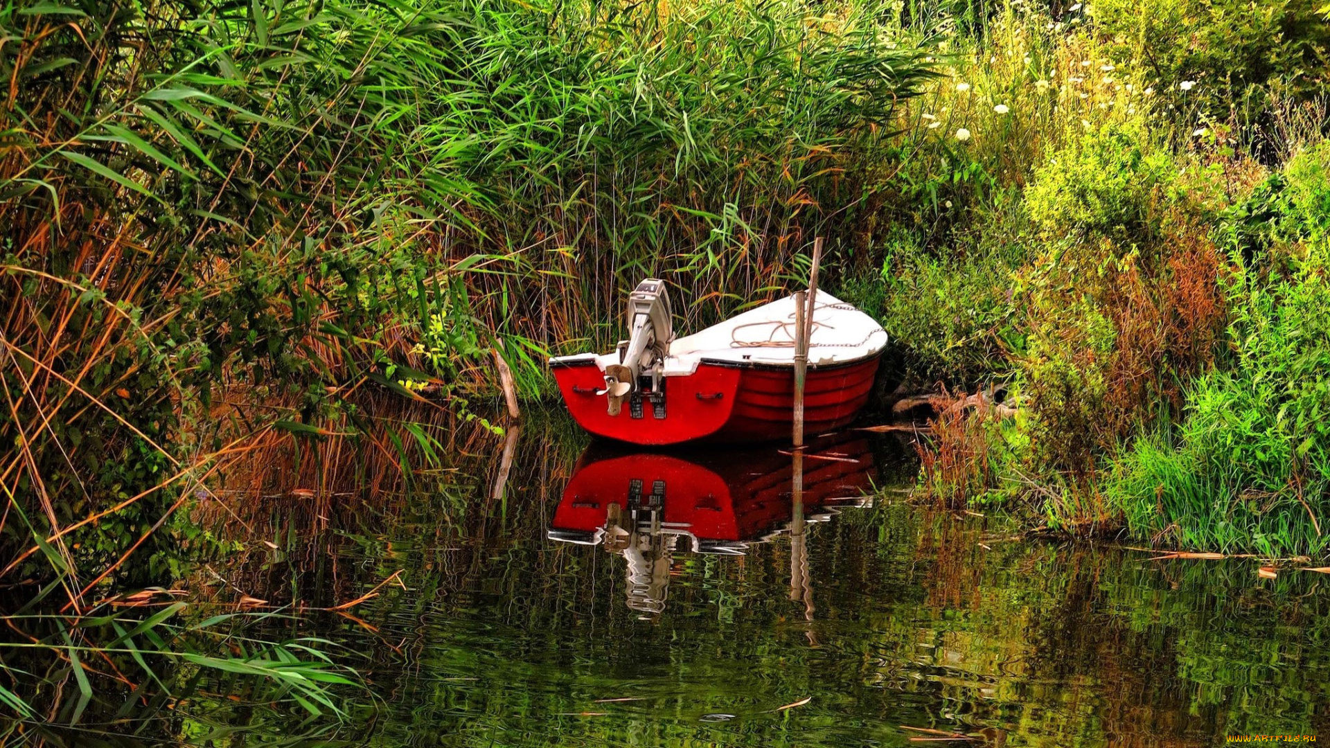 корабли, моторные, лодки, затока, моторная, лодка, камыши