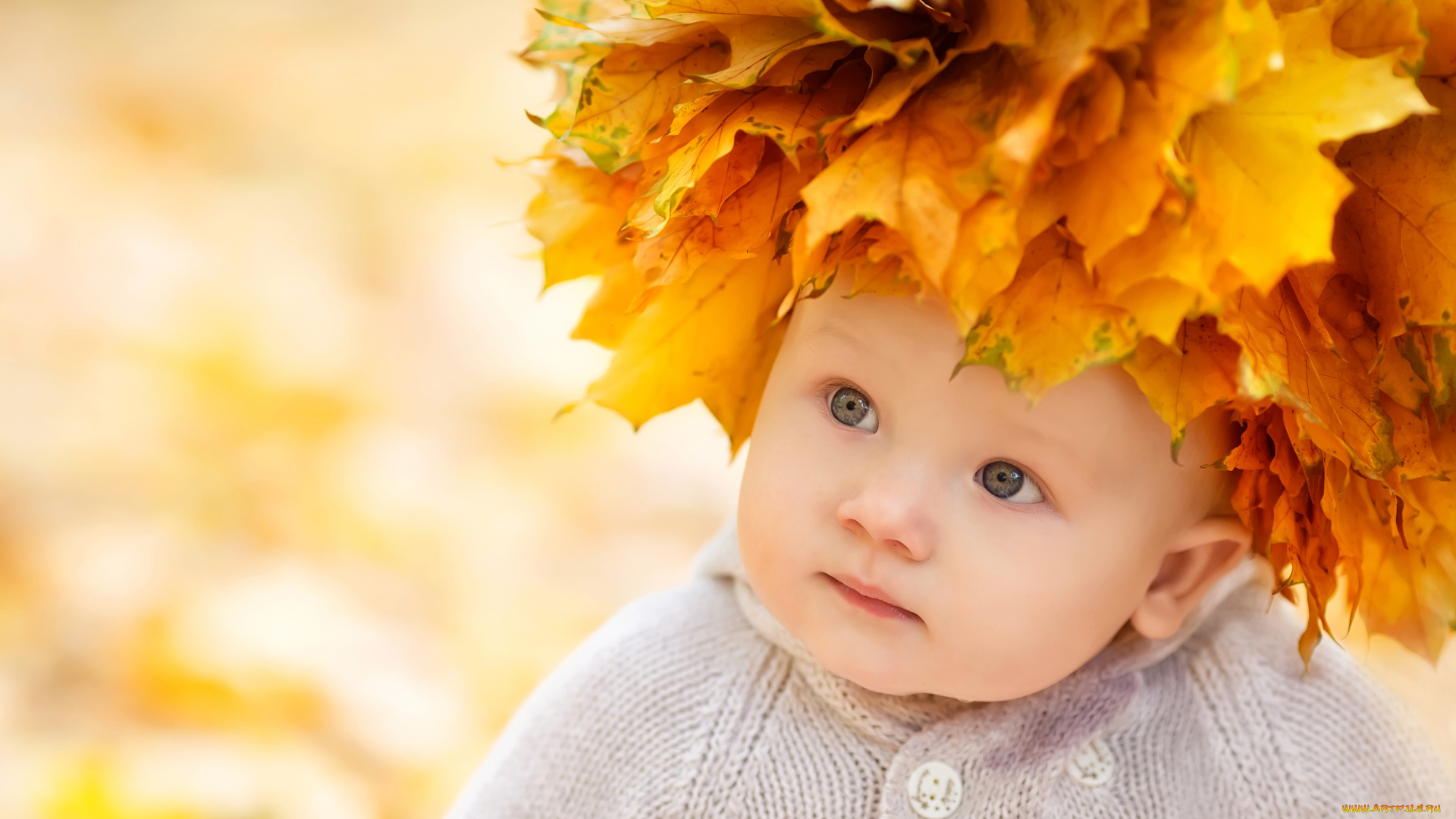 разное, дети, ребенок, листья