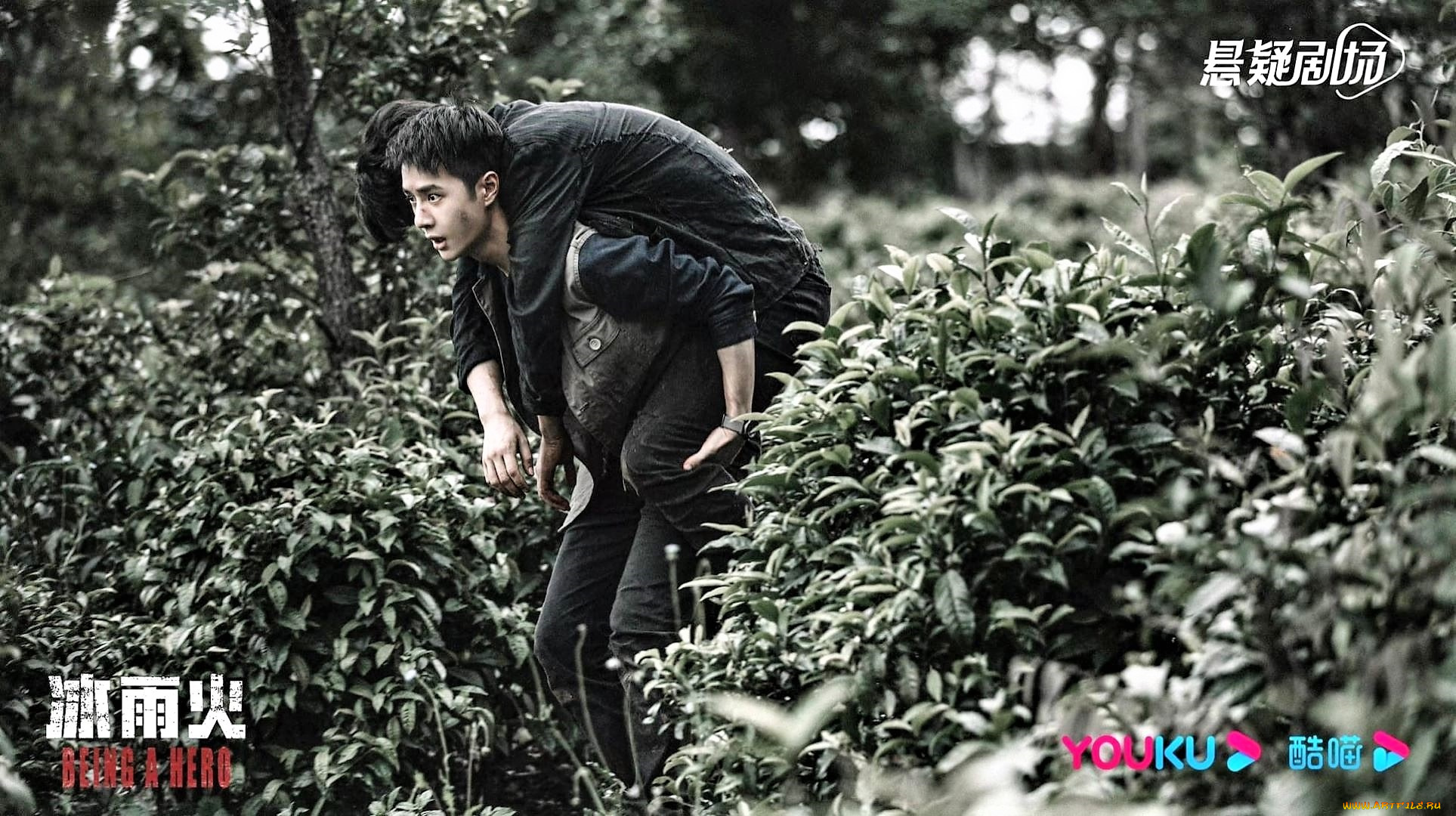 кино, фильмы, being, a, hero, чэнь, юй, человек, кусты