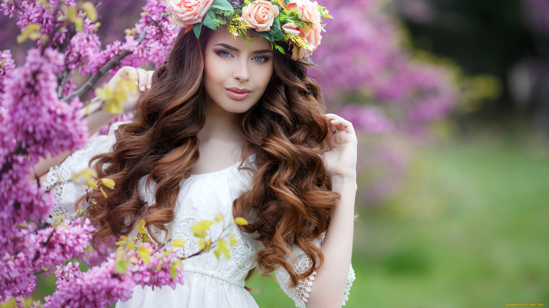 девушки, -, брюнетки, , шатенки, девушка