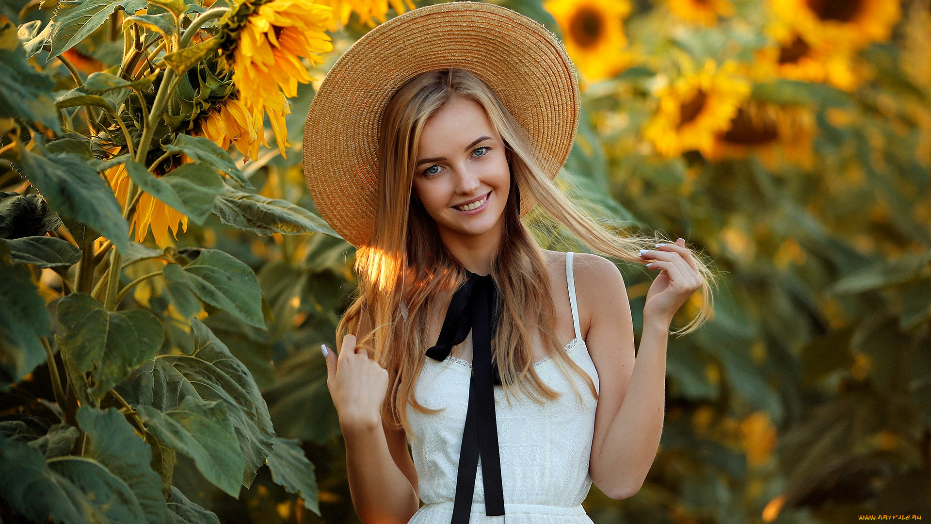 девушки, -, блондинки, , светловолосые, блондинка, шляпа, платье, подсолнухи, поле