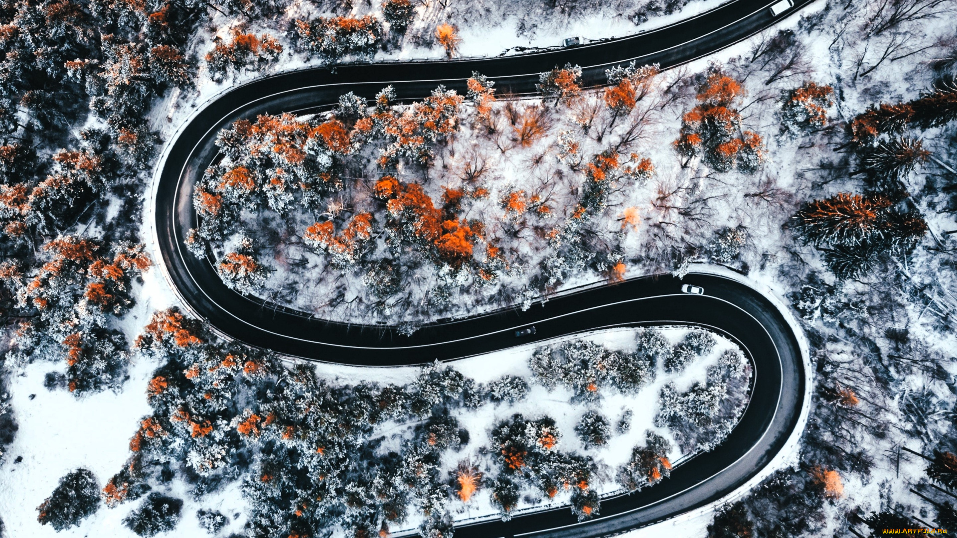 природа, дороги, панорама, дорога, снег, деревья