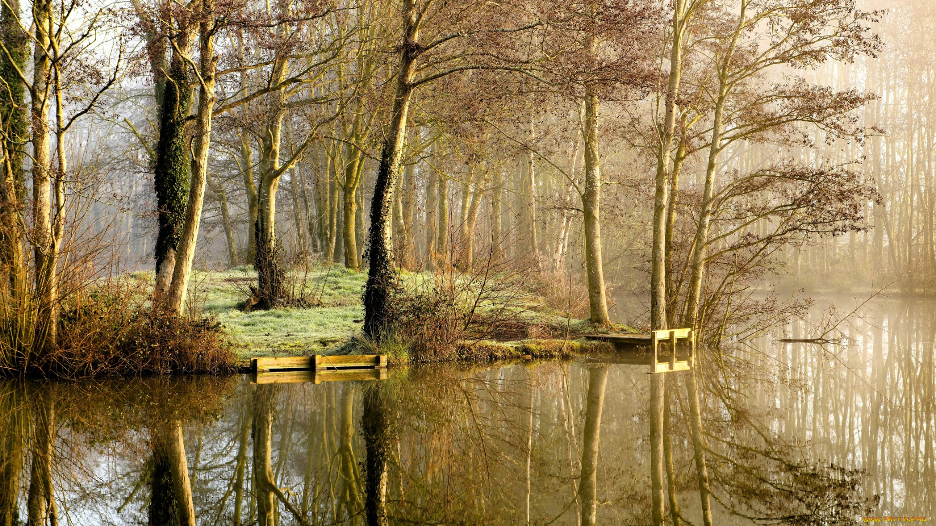 природа, реки, озера, осень, лес, листья, деревья, туман, озеро