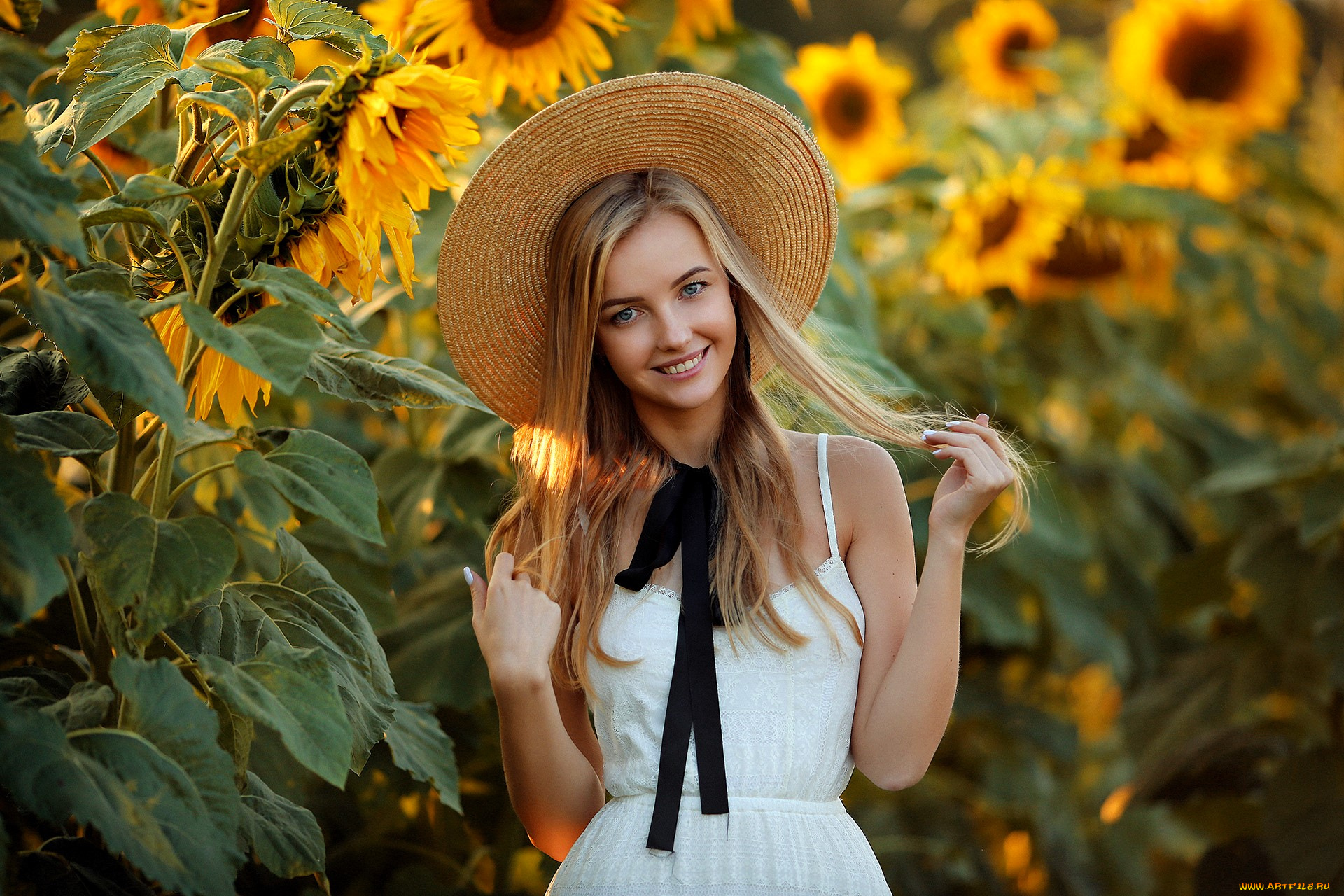 девушки, -, блондинки, , светловолосые, блондинка, шляпа, платье, подсолнухи, поле