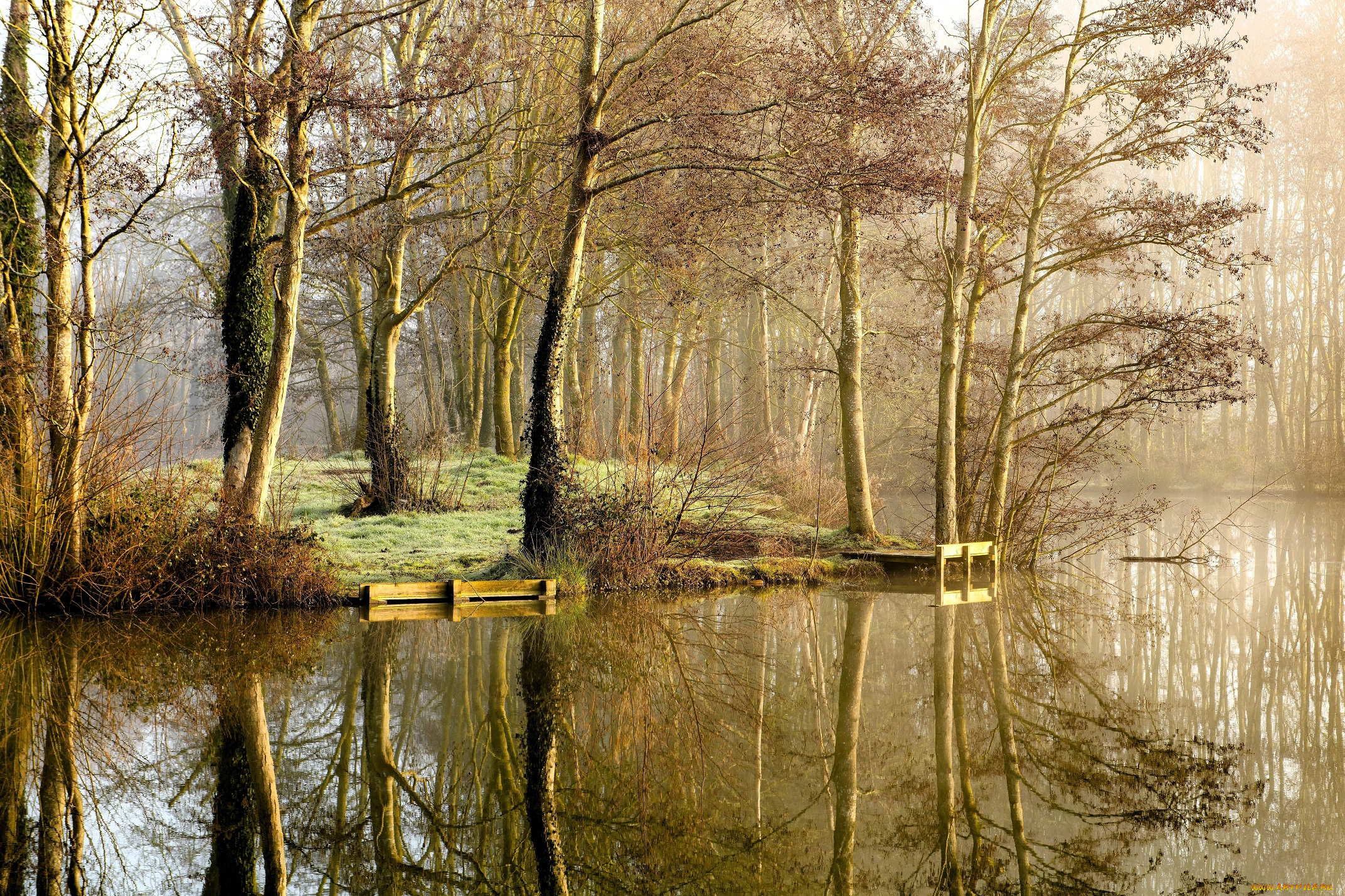 природа, реки, озера, осень, лес, листья, деревья, туман, озеро