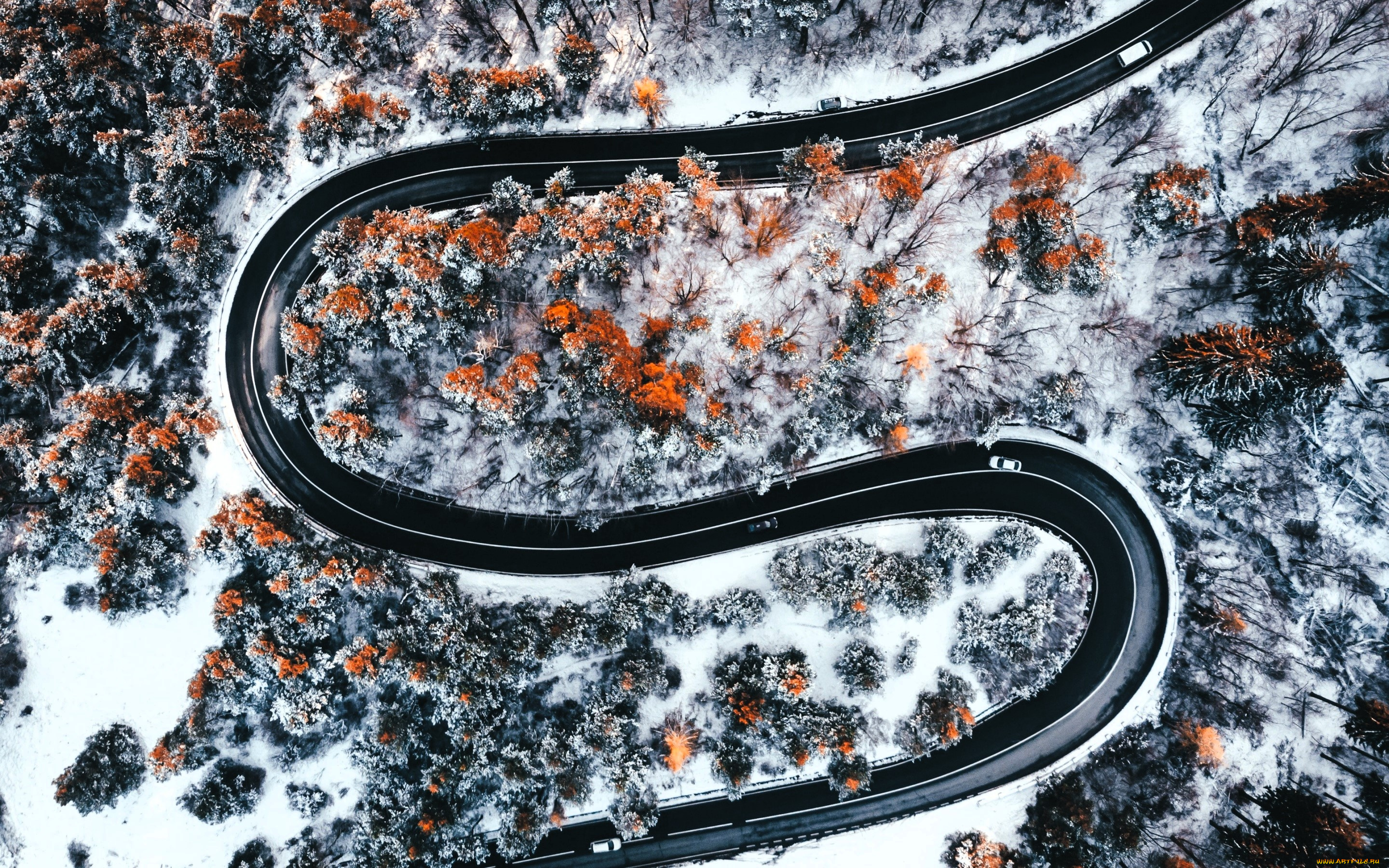 природа, дороги, панорама, дорога, снег, деревья