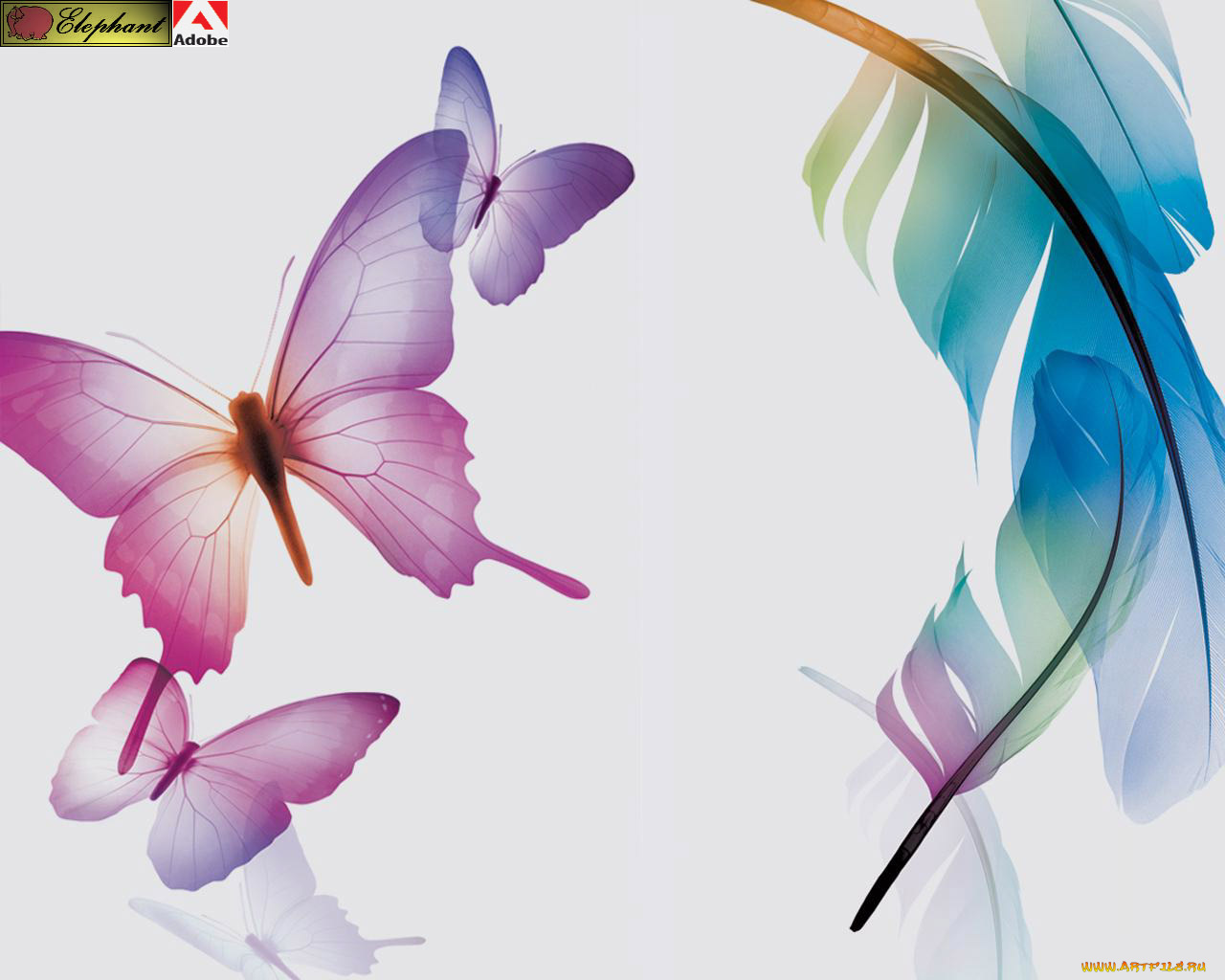 adobe, photoshop, компьютеры