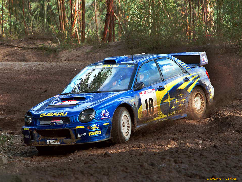 спорт, авторалли