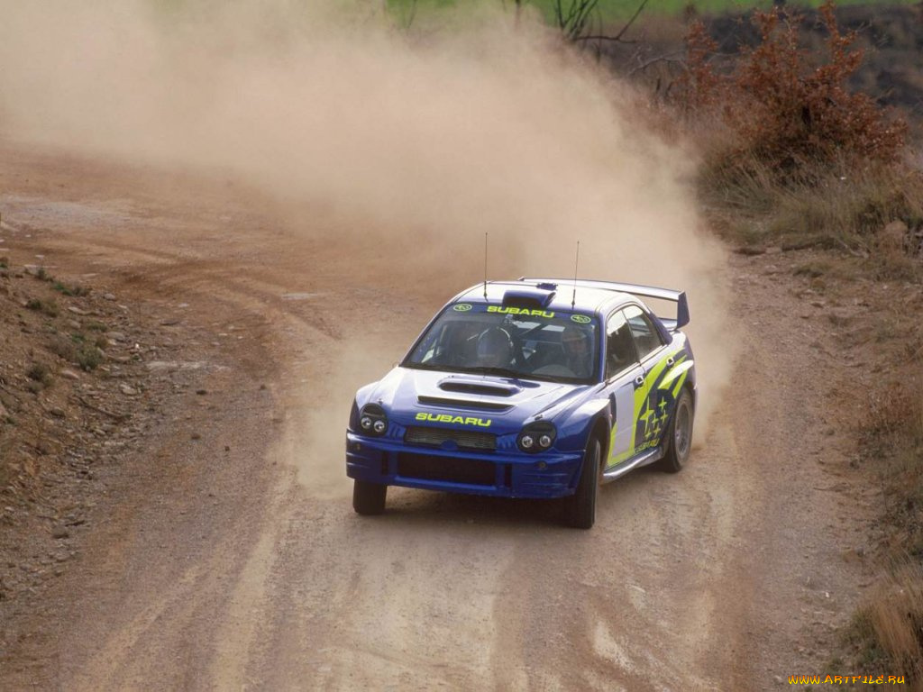спорт, авторалли
