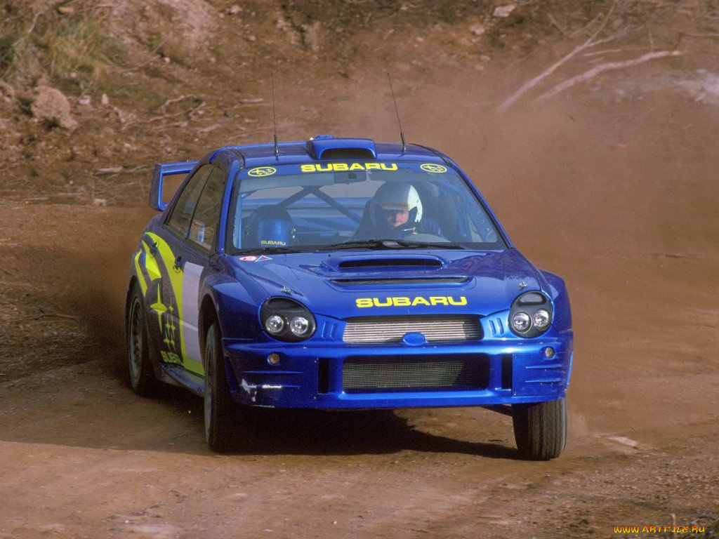 спорт, авторалли