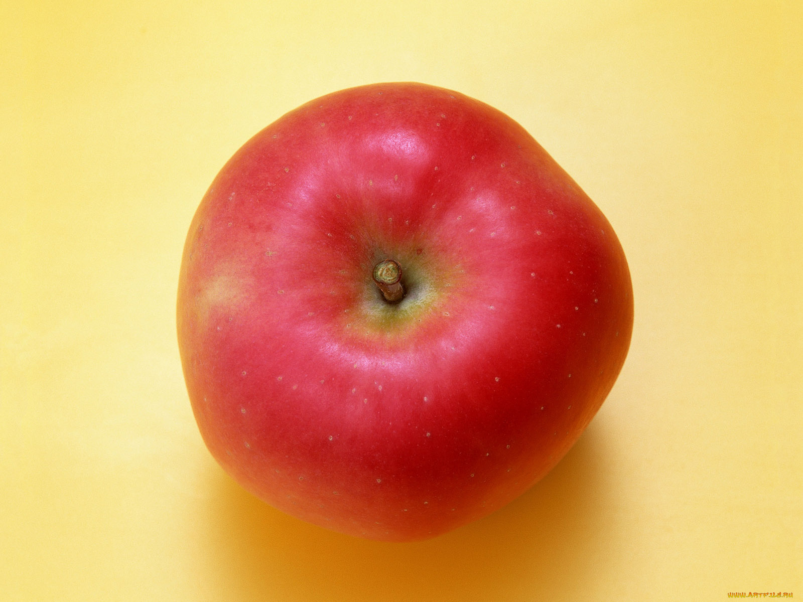 еда, Яблоки