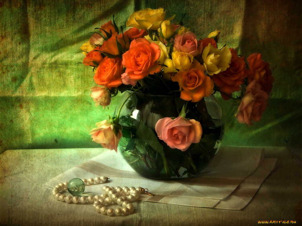 maxviking, розы, цветы