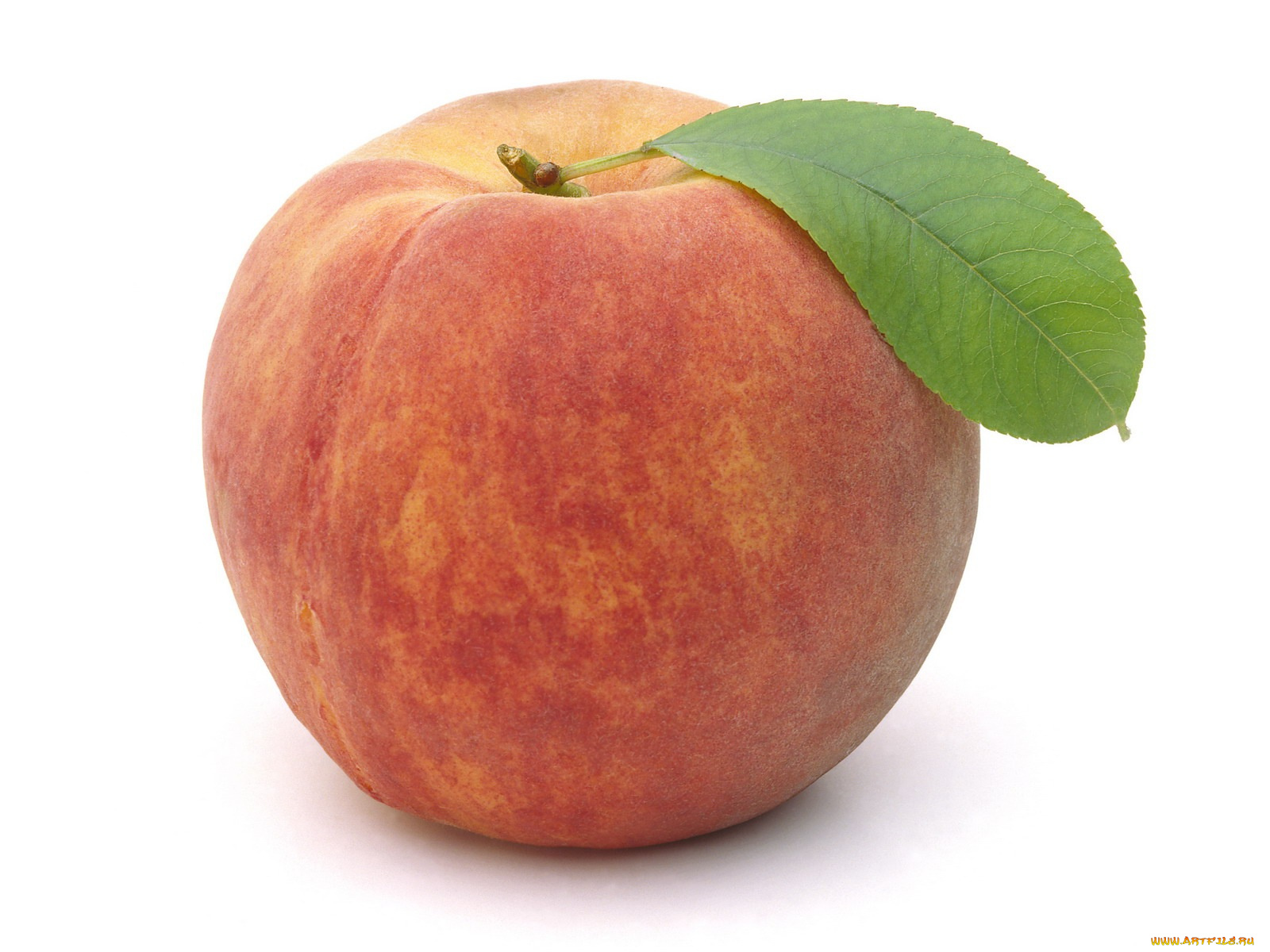 еда, персики, сливы, абрикосы