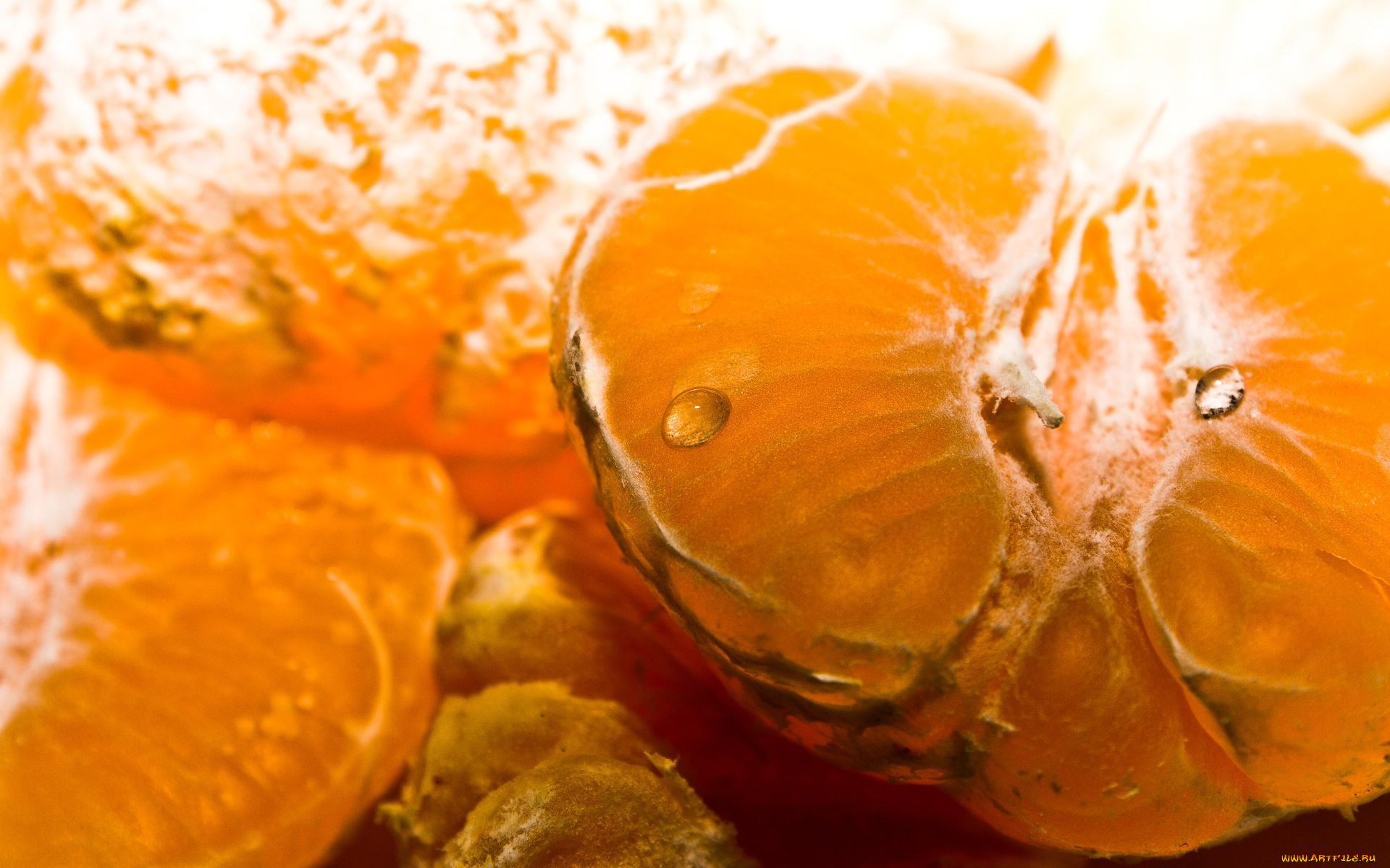 еда, цитрусы