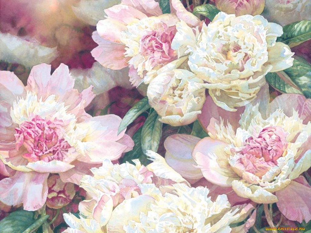 darryl, trott, рисованные