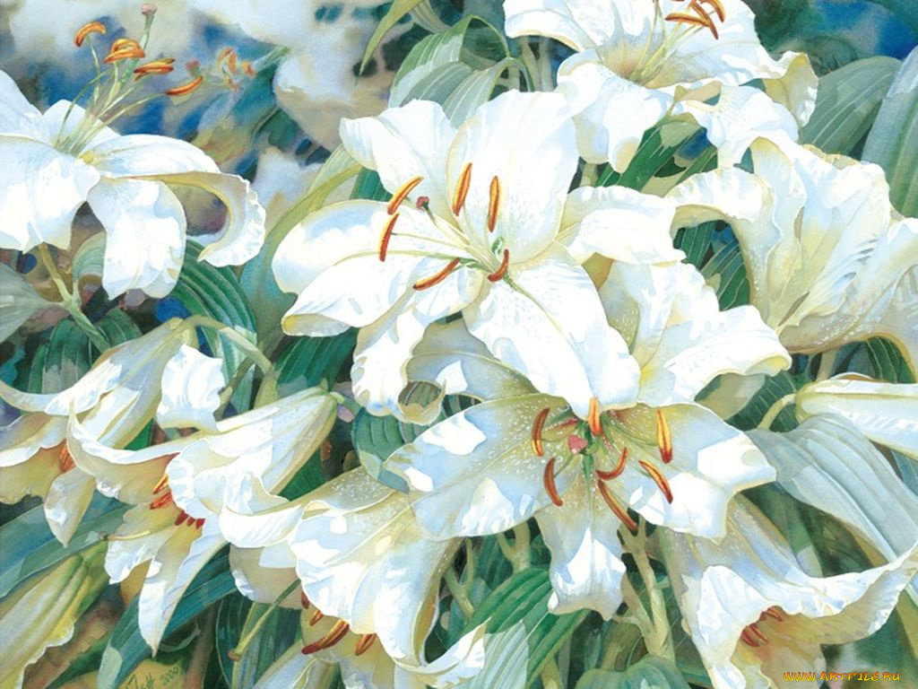 darryl, trott, рисованные