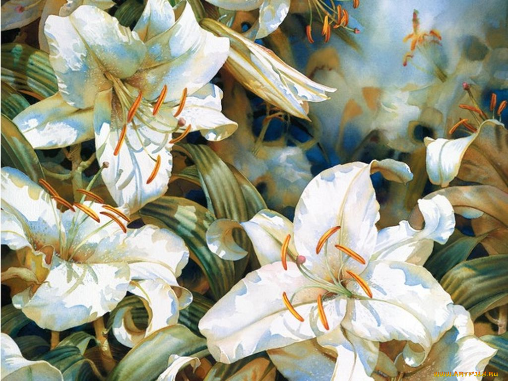 darryl, trott, рисованные