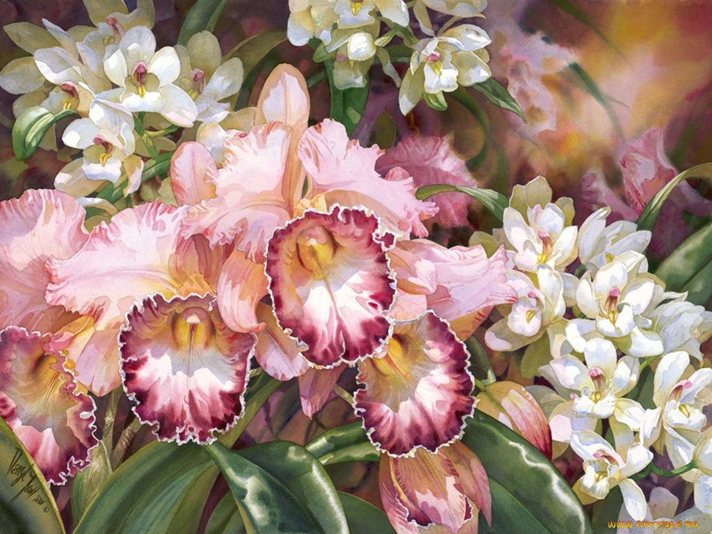 darryl, trott, рисованные