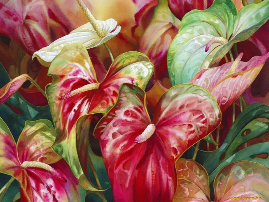 darryl, trott, рисованные