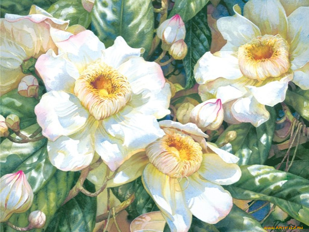 рисованные, цветы