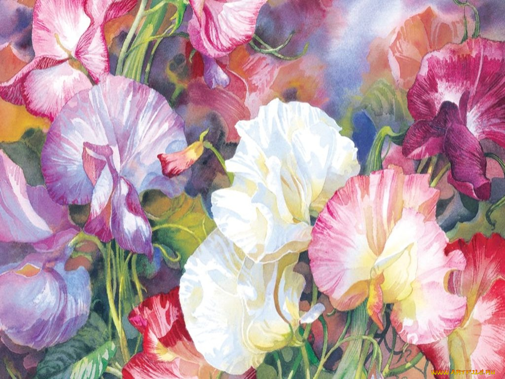 рисованные, цветы