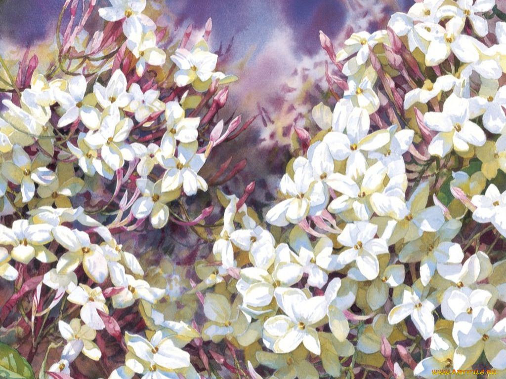 рисованные, darryl, trott