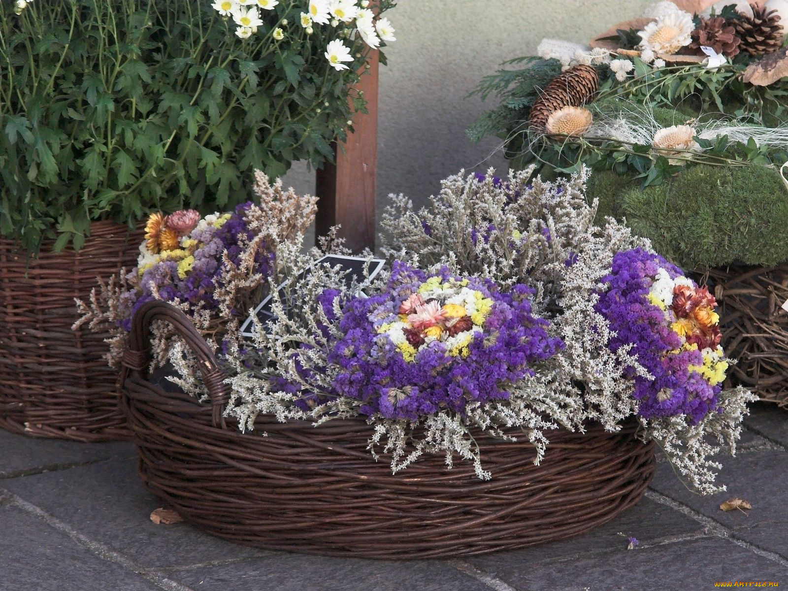 цветы, букеты, композиции