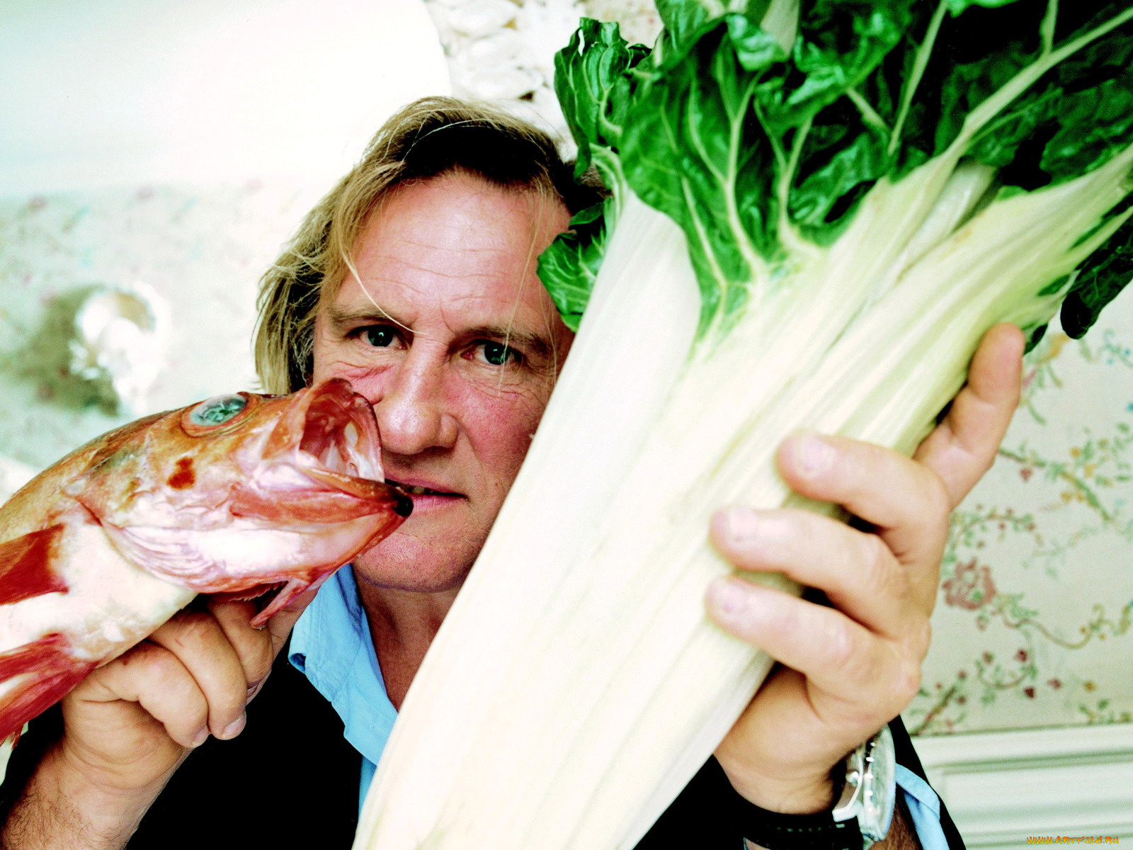 g&, 233, rard, depardieu, мужчины