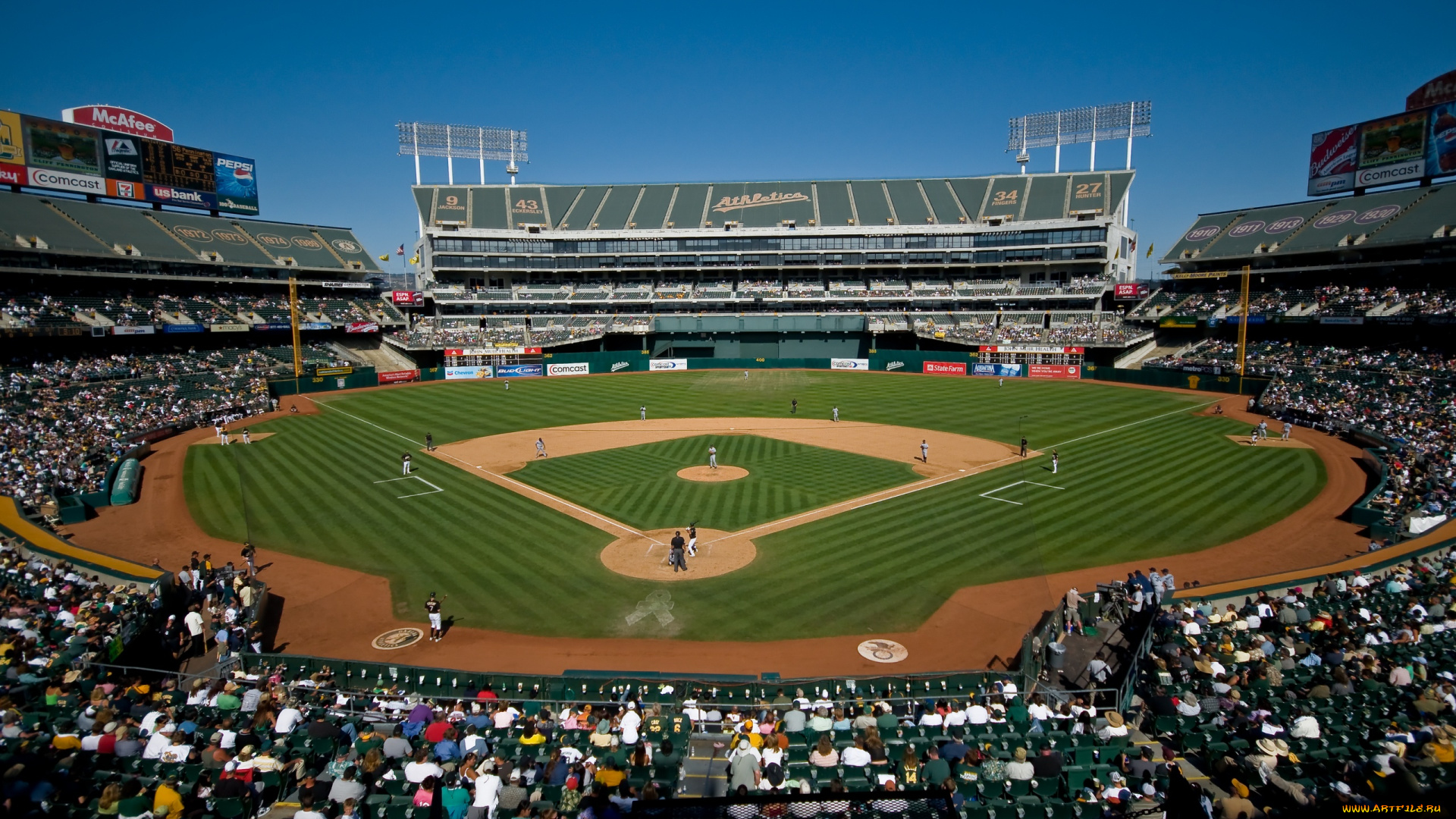 спорт, стадионы