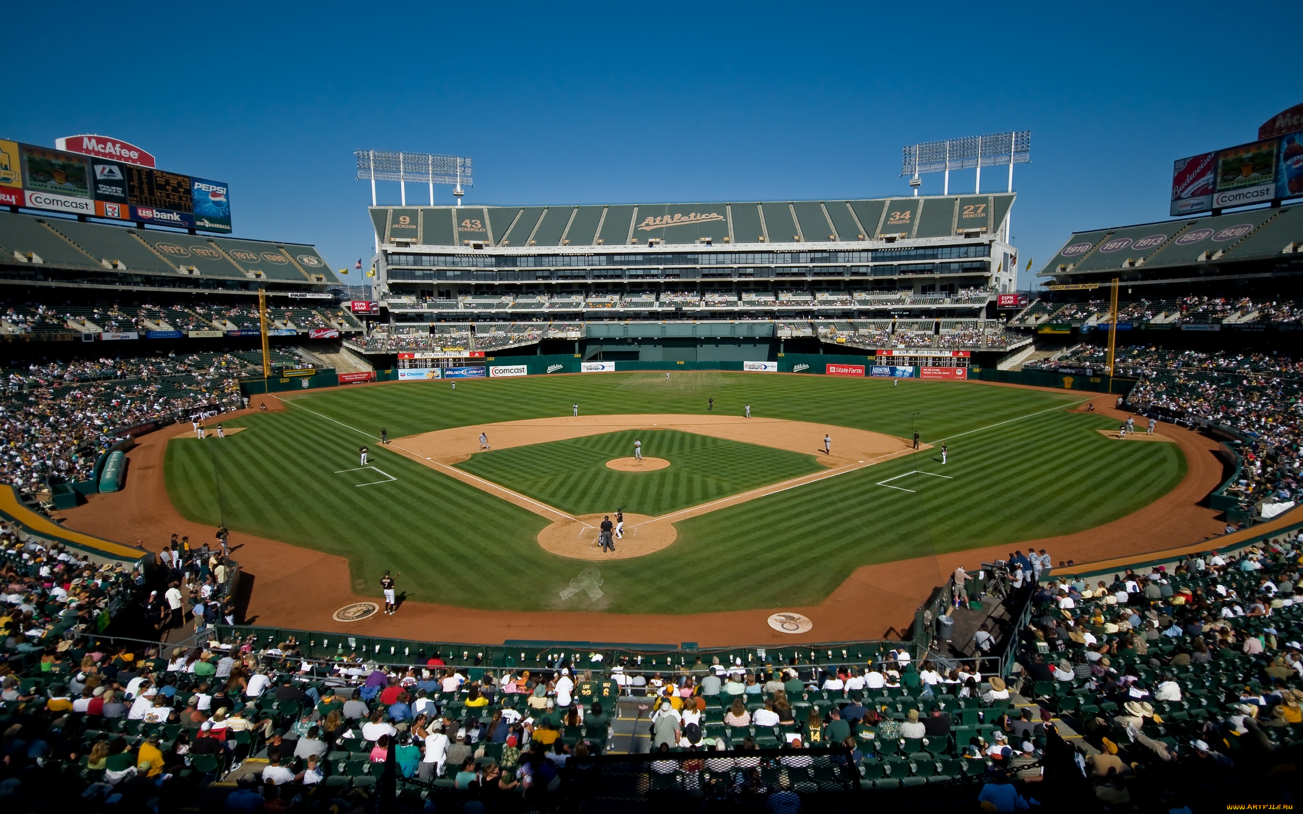 спорт, стадионы