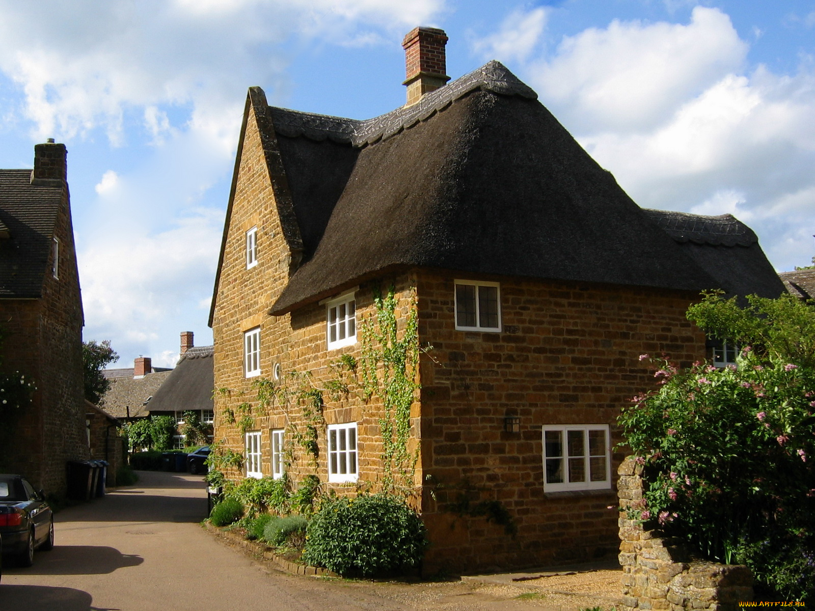 бельгия, города, здания, дома, плющ, цветы, улица, дом