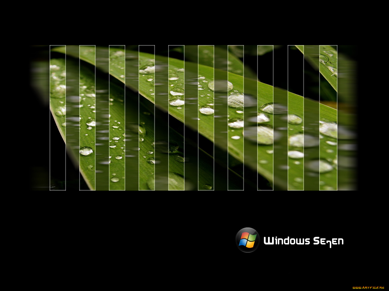 компьютеры, windows, vienna, капли, листья