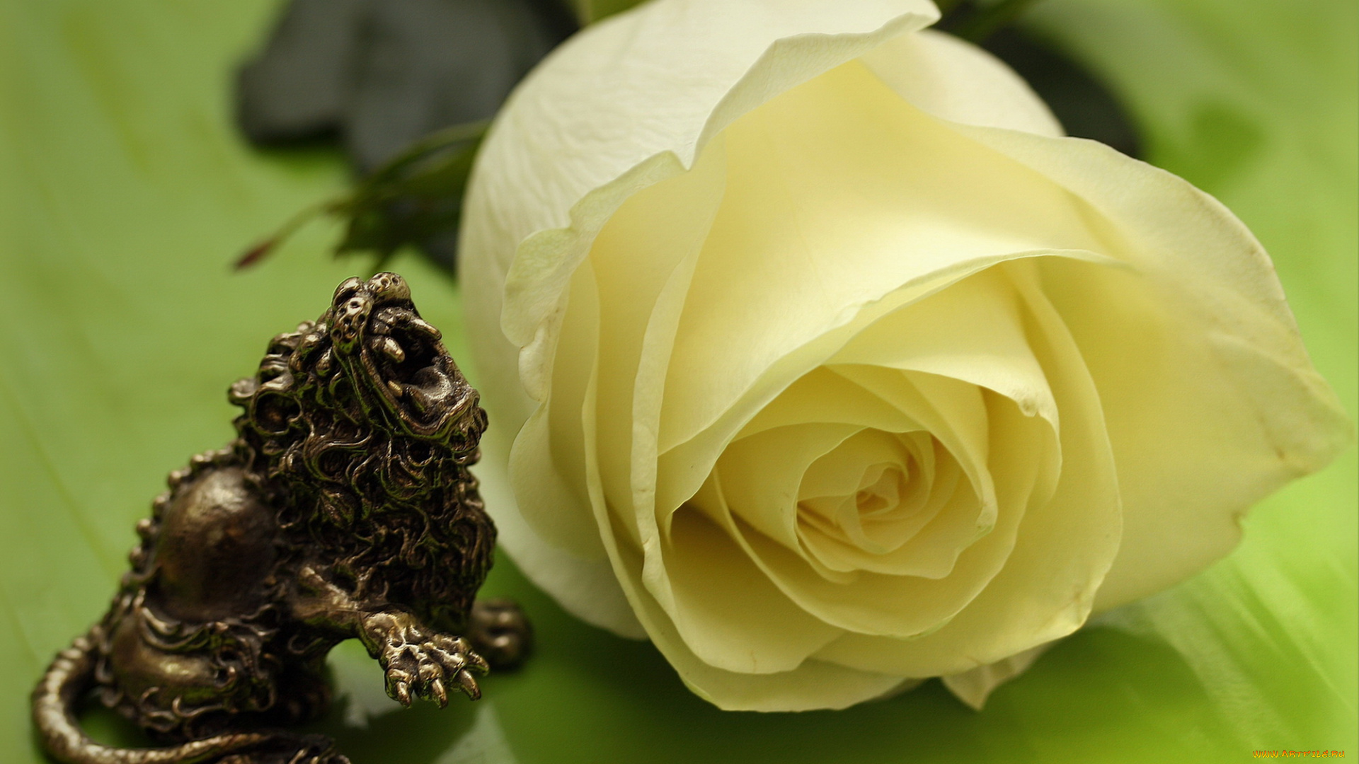 цветы, розы, фигурка