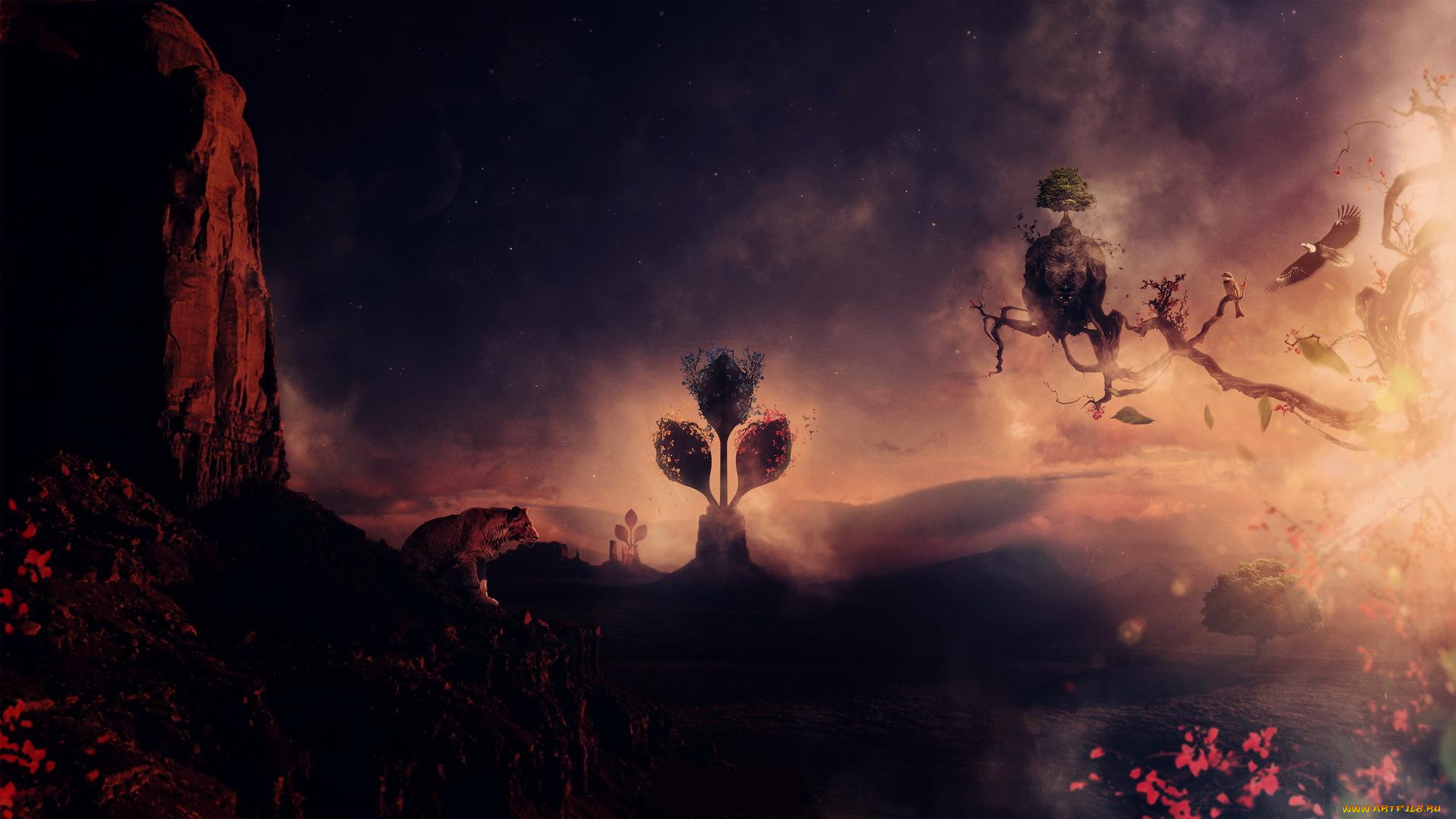 разное, компьютерный, дизайн, птицы, облака