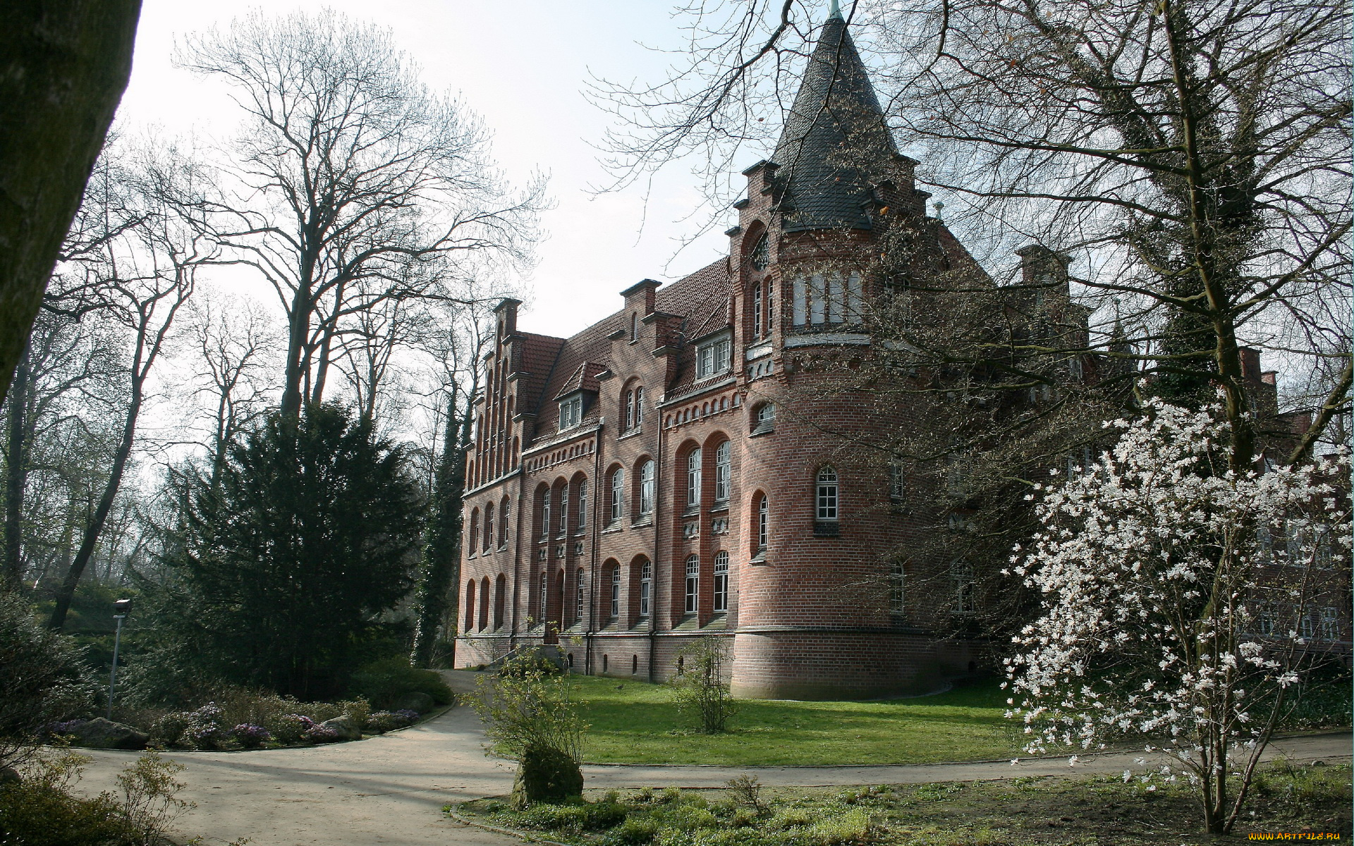 bergedorf, германия, города, дворцы, замки, крепости, замок, цветущее, дерево