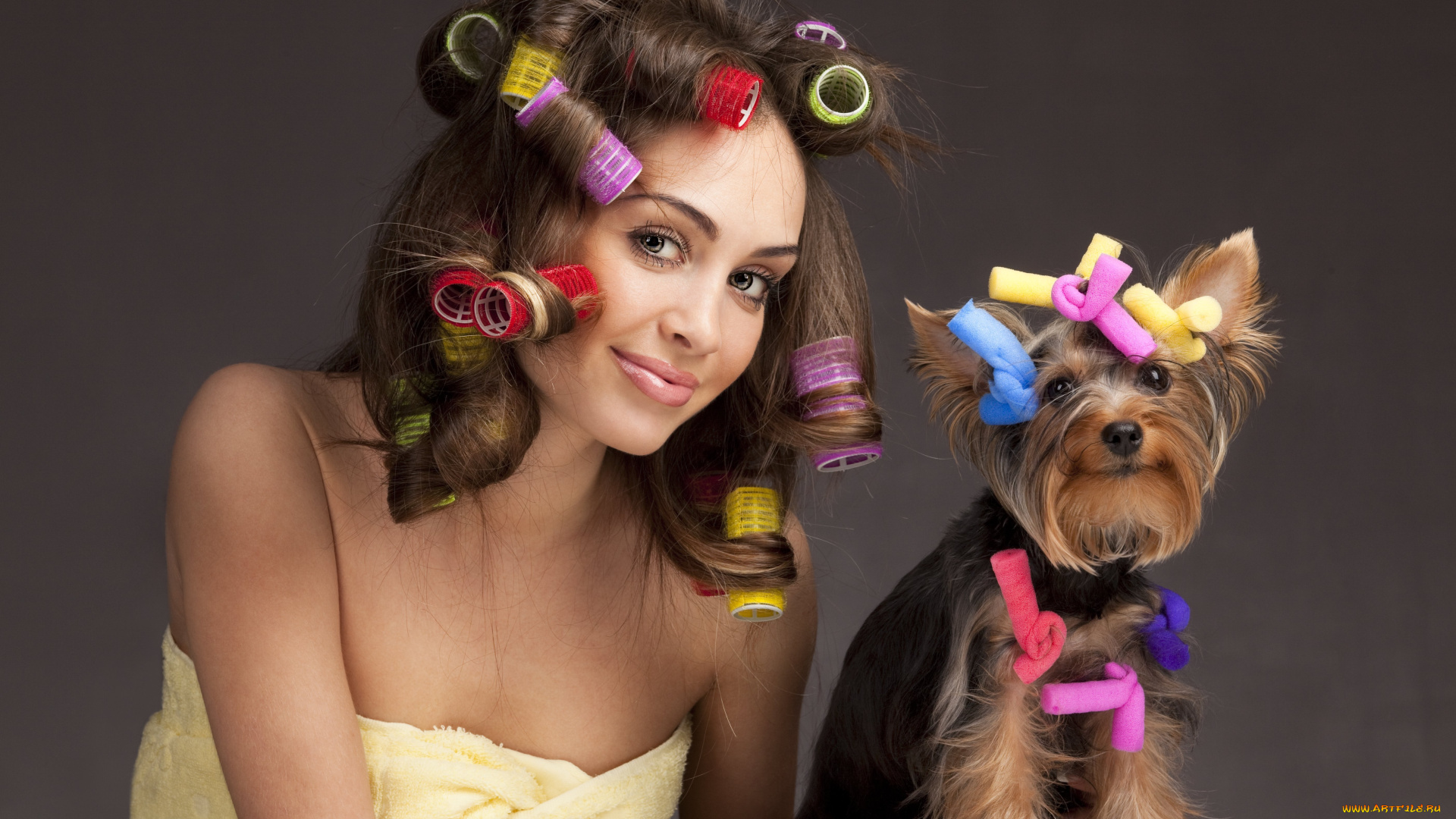 -Unsort, Брюнетки, Шатенки, девушки, unsort, брюнетки, шатенки, бигуди, собака