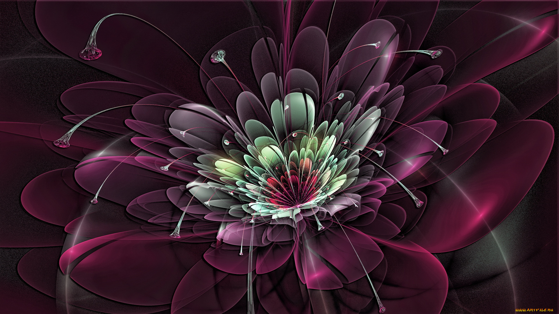 3д, графика, flowers, цветы, фон, цвета, узор