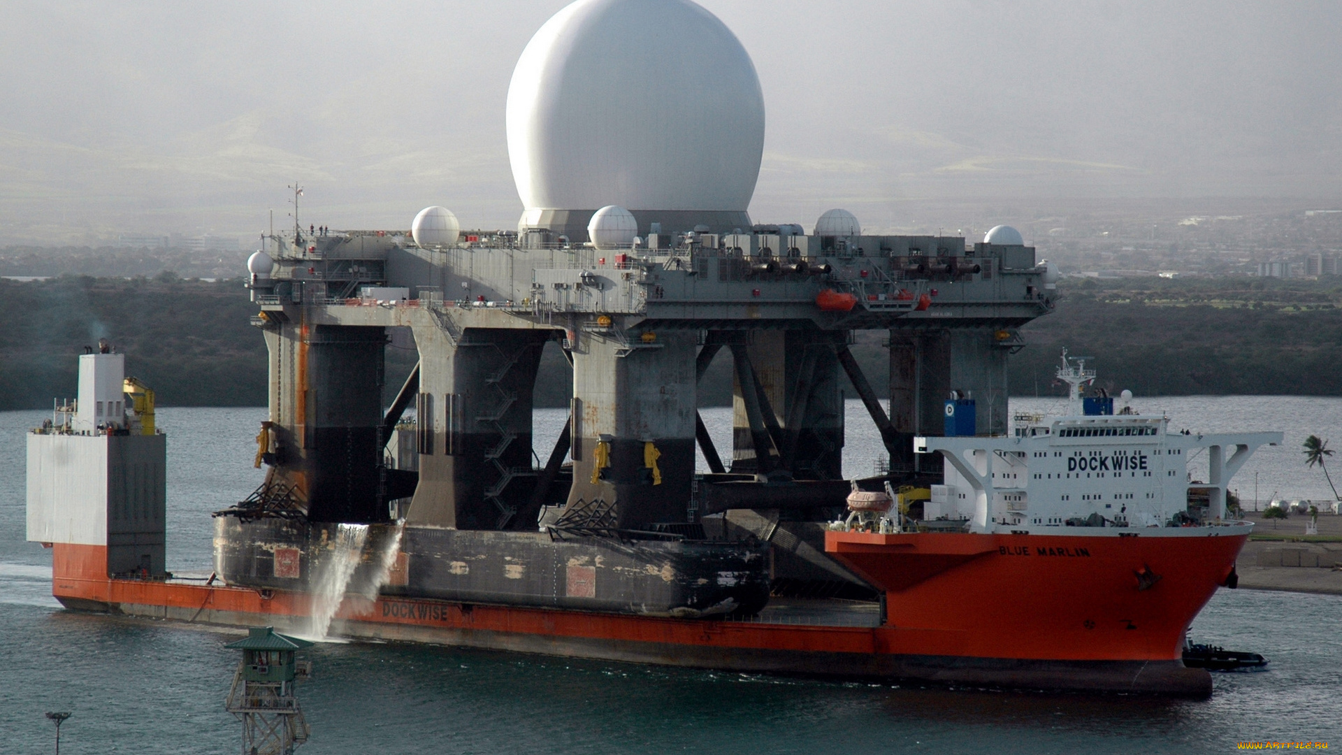 mv, blue, marlin, корабли, грузовые, суда