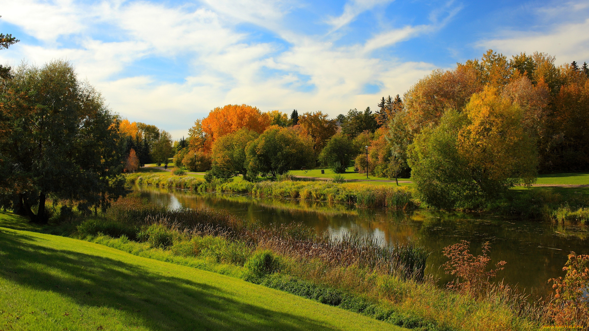 alberta, канада, природа, реки, озера, река, деревья, побережье