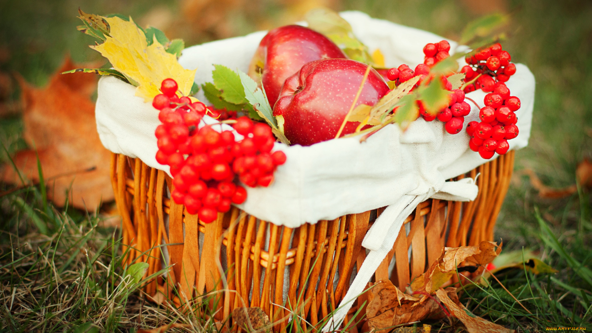 еда, фрукты, ягоды, калина, яблоки