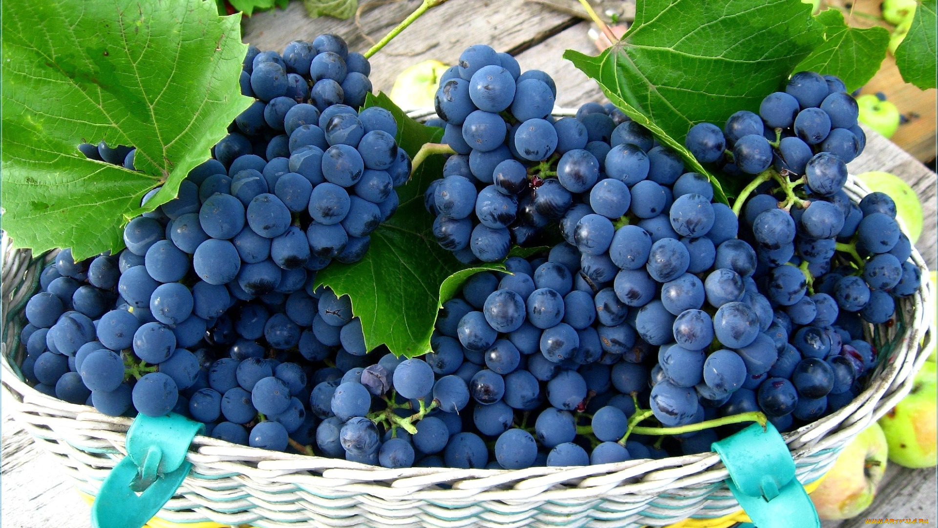 еда, виноград, ягоды