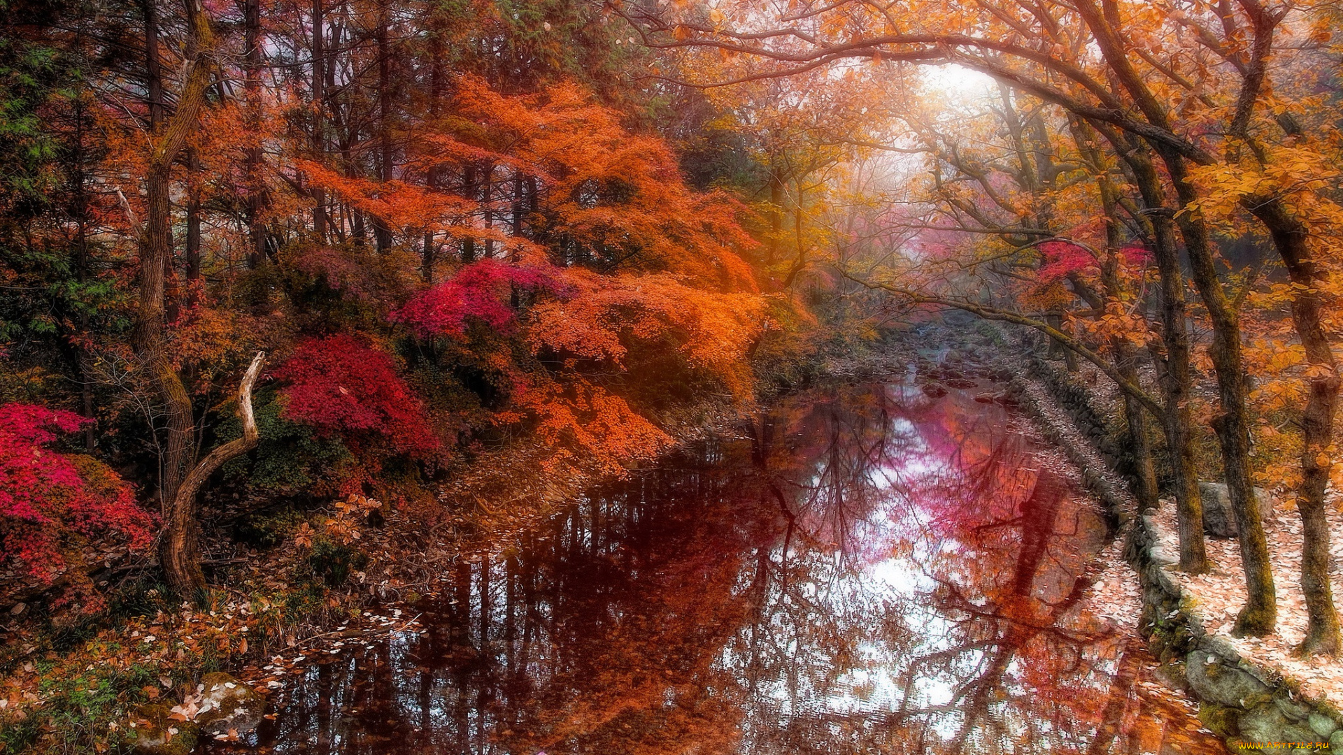 этюд, багровых, тонах, природа, реки, озера, красота, осень, краски, лес, река