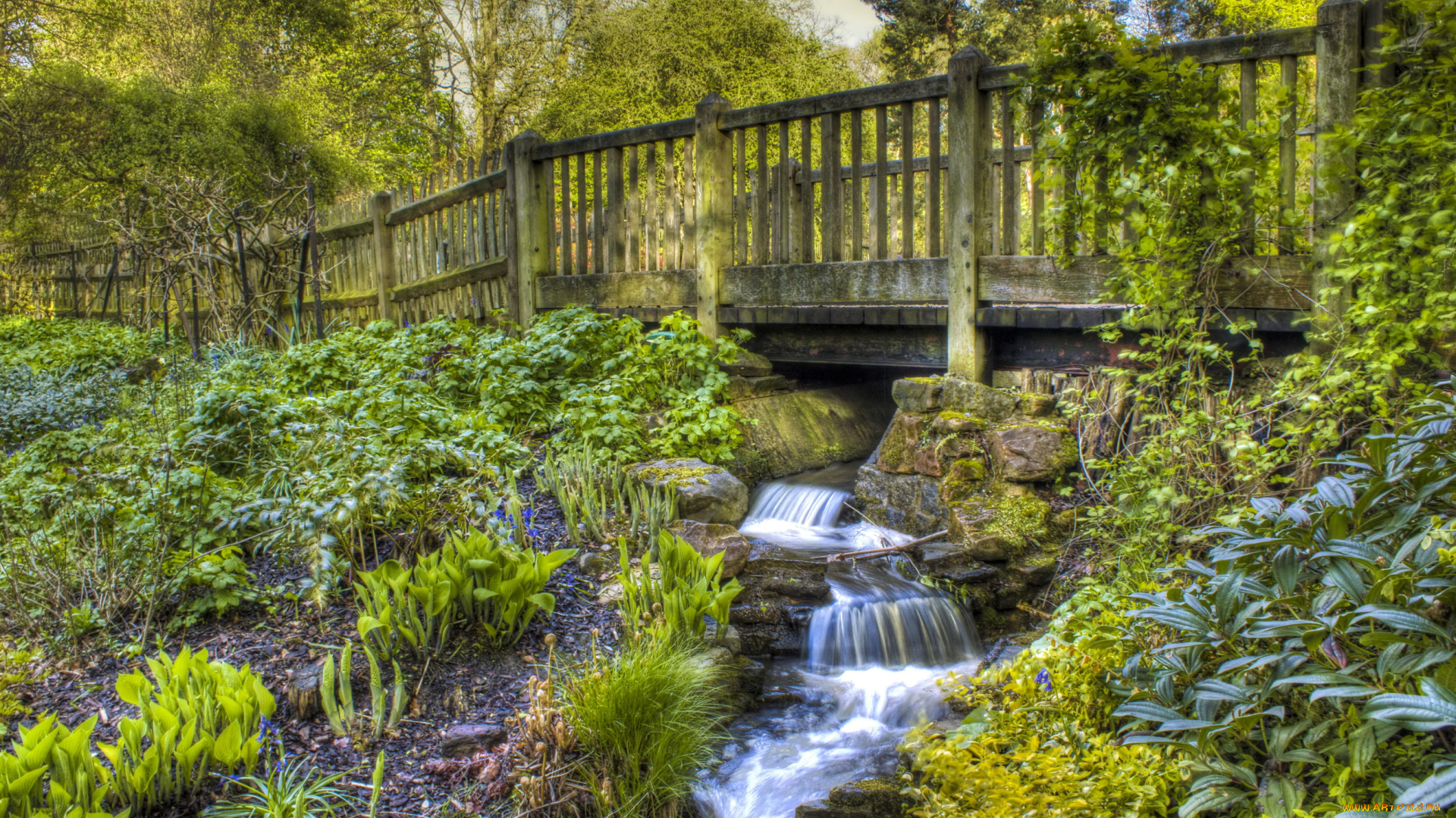 golders, hill, park, london, природа, парк, водопад, растения, мост